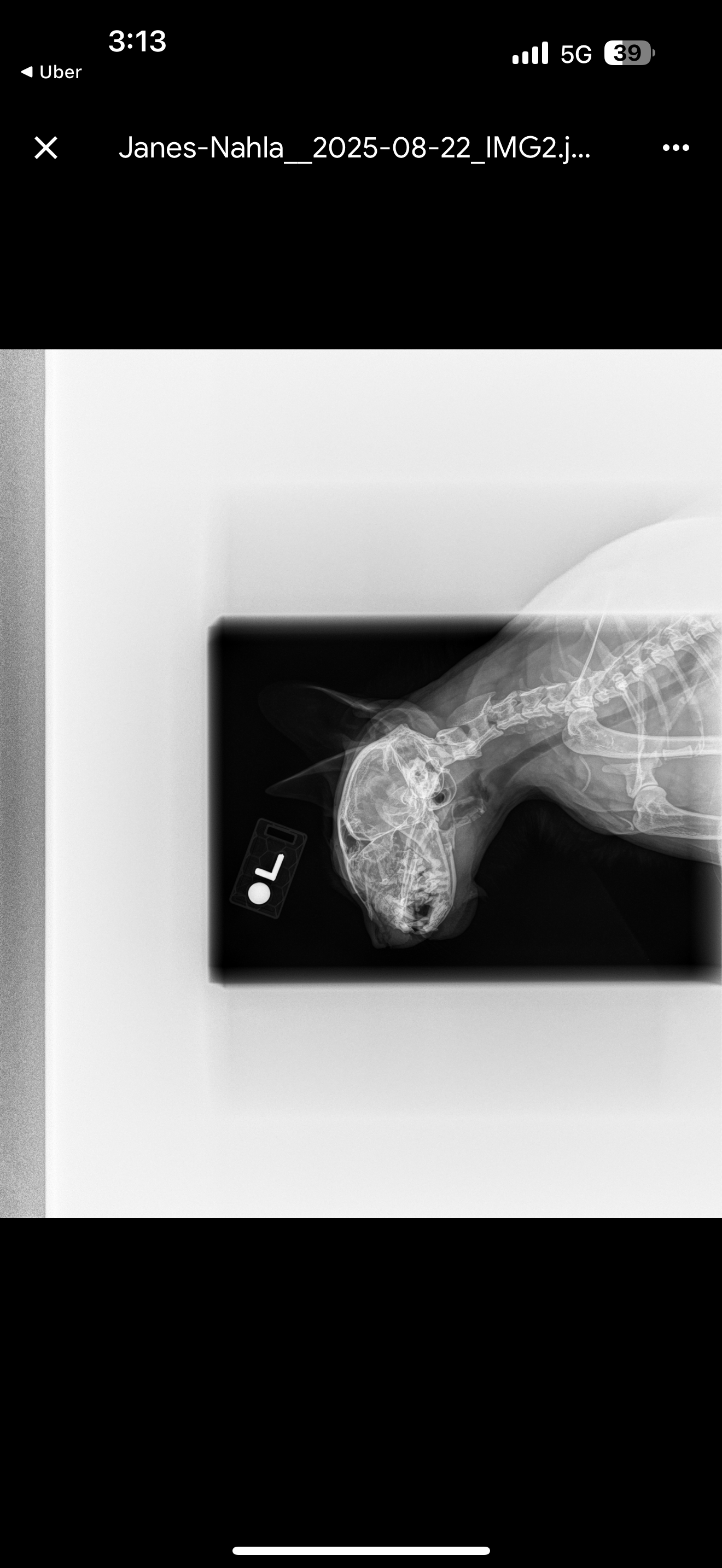 Nahla’s surgery campaign photo, 4 of 8