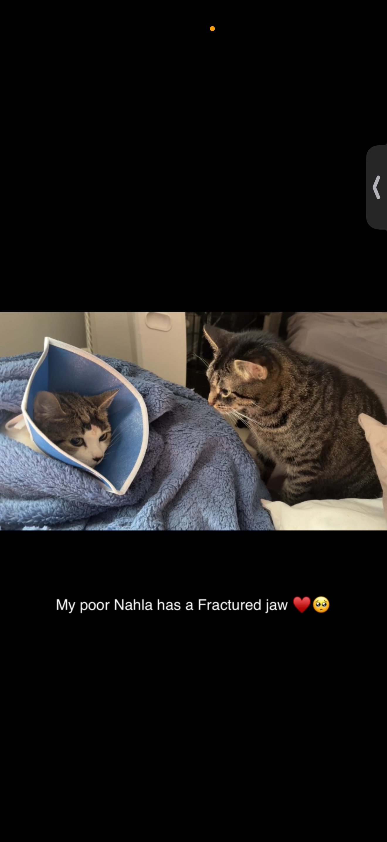 Nahla’s surgery campaign photo, 6 of 8