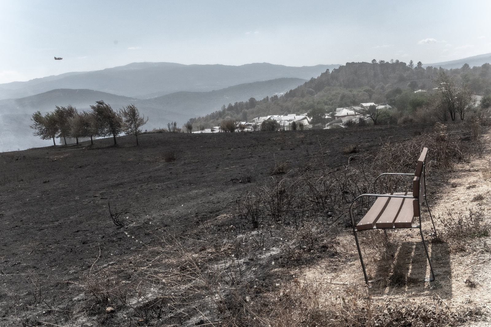 Recuperemos Roblido (Orense), devolvamos la vida al monte campaign photo, 6 of 8
