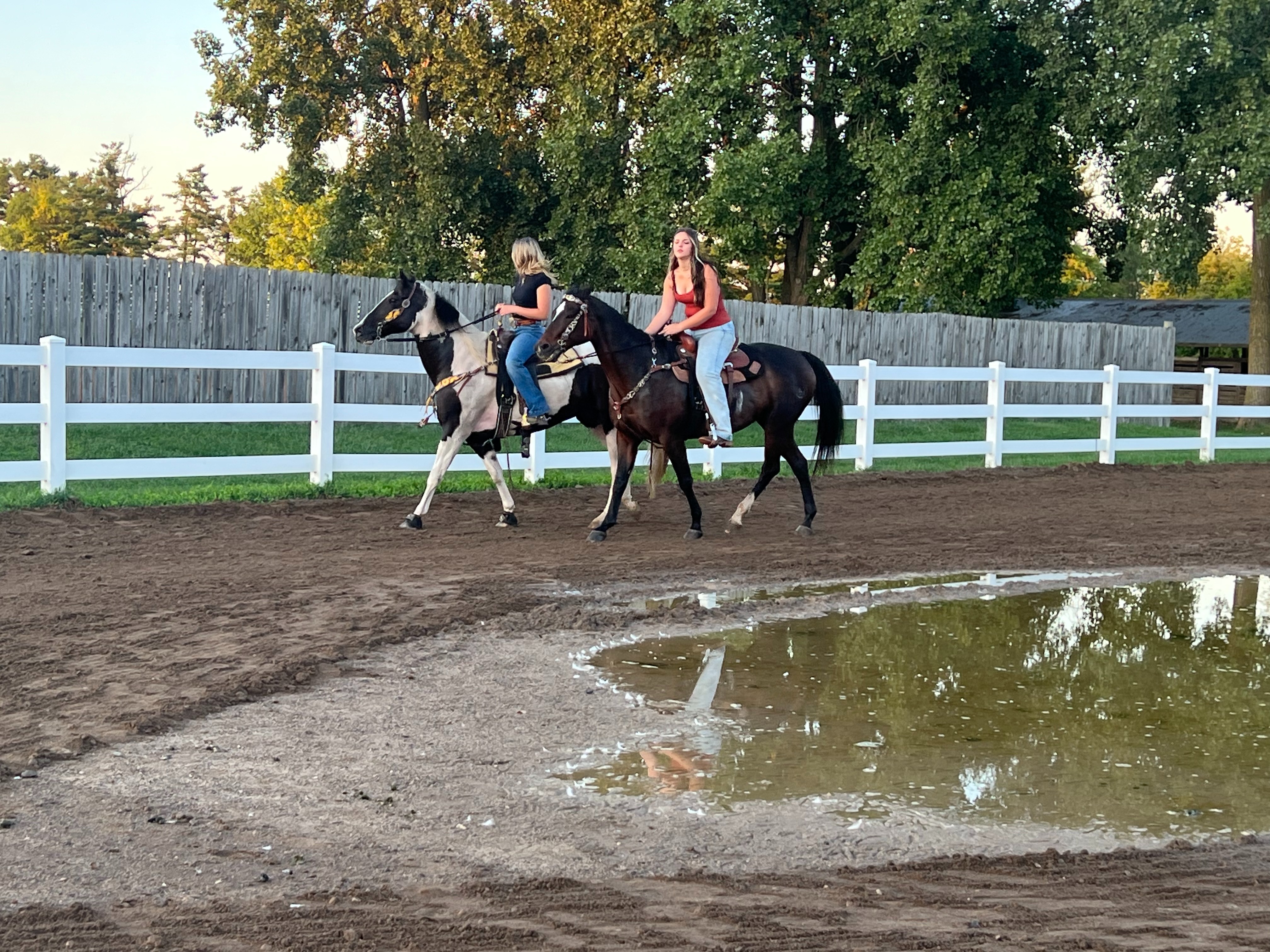 “Restore the Wayne County Fairgrounds Horse Arena” campaign photo, 2 of 8