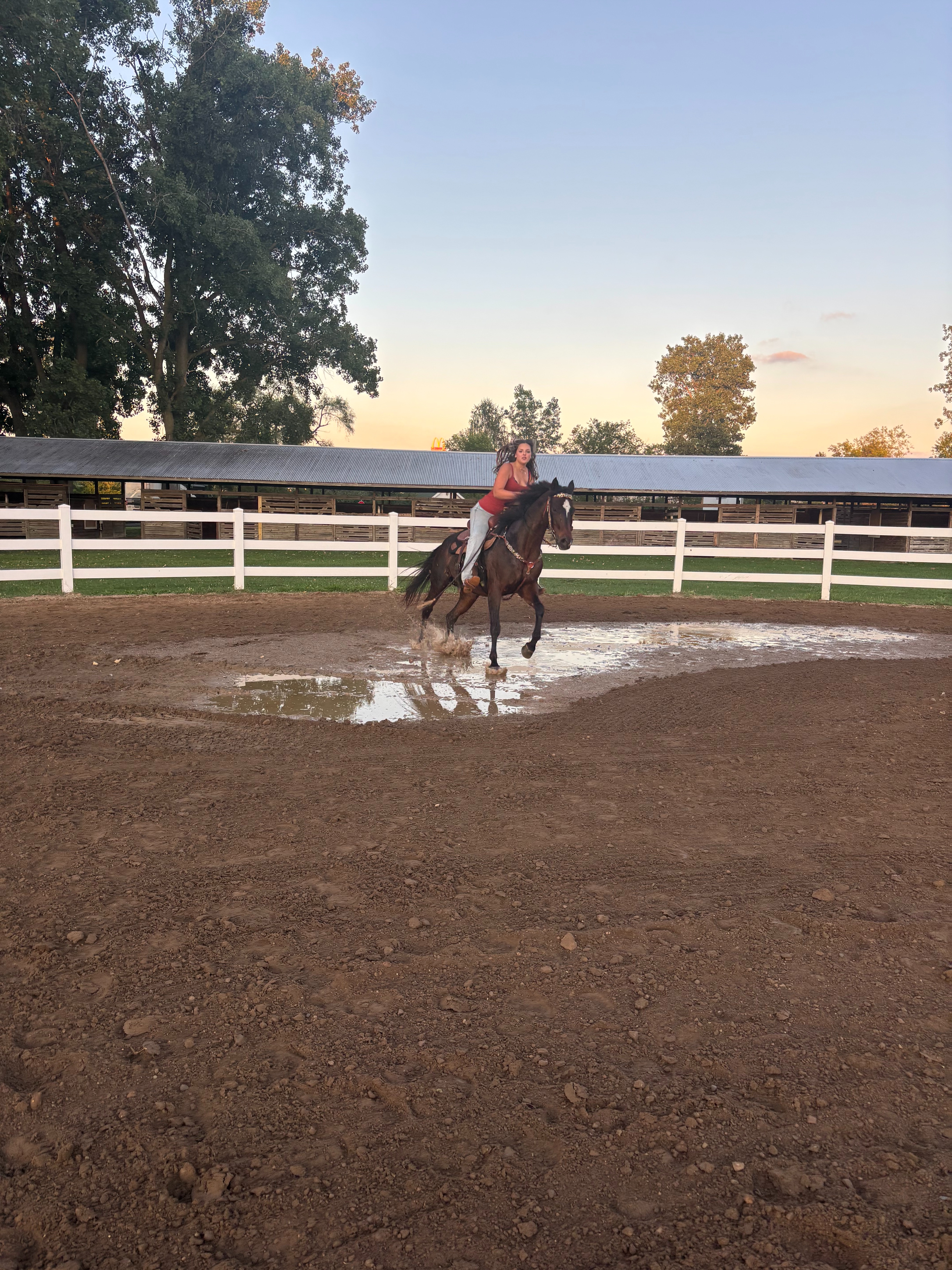 “Restore the Wayne County Fairgrounds Horse Arena” campaign photo, 5 of 8