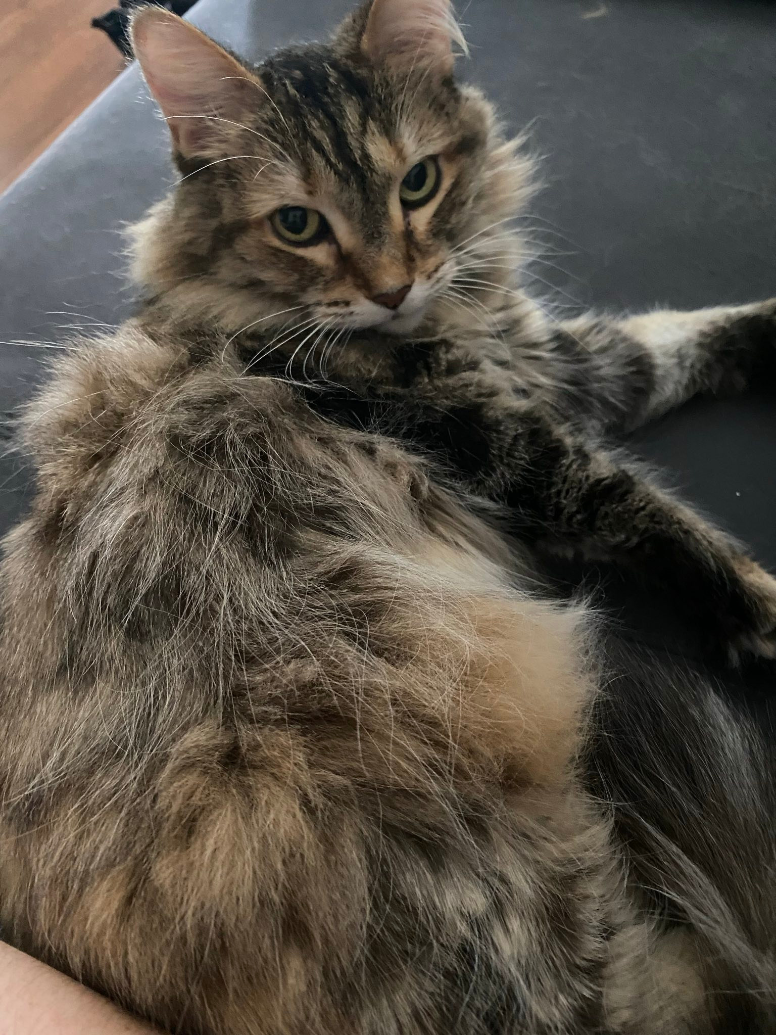 User-uploaded image 1