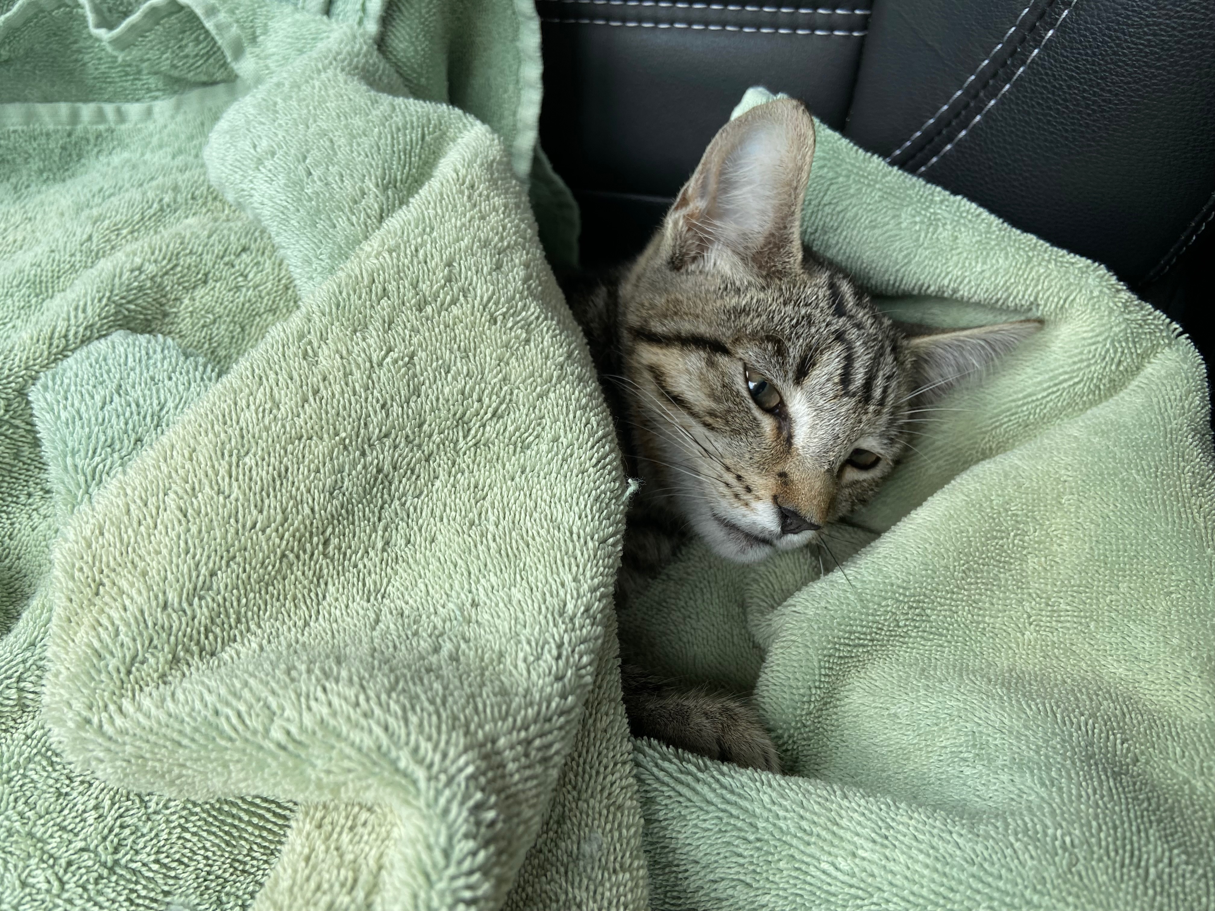 Edith Needs Your Help for Surgery Costs campaign photo, 5 of 5