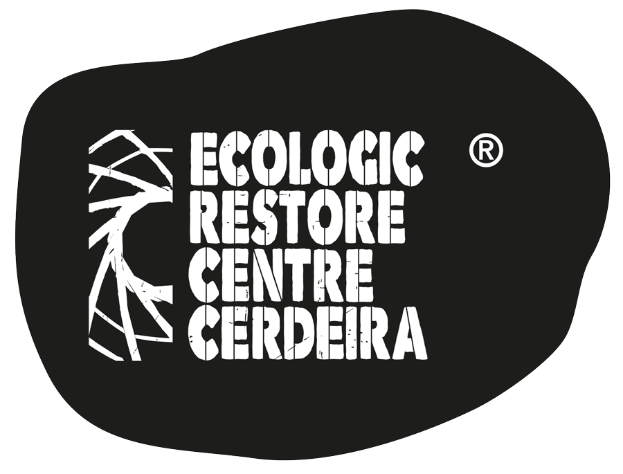 Restaurar o Ecosistema Promovendo a Biodiversidade campaign photo, 6 of 8