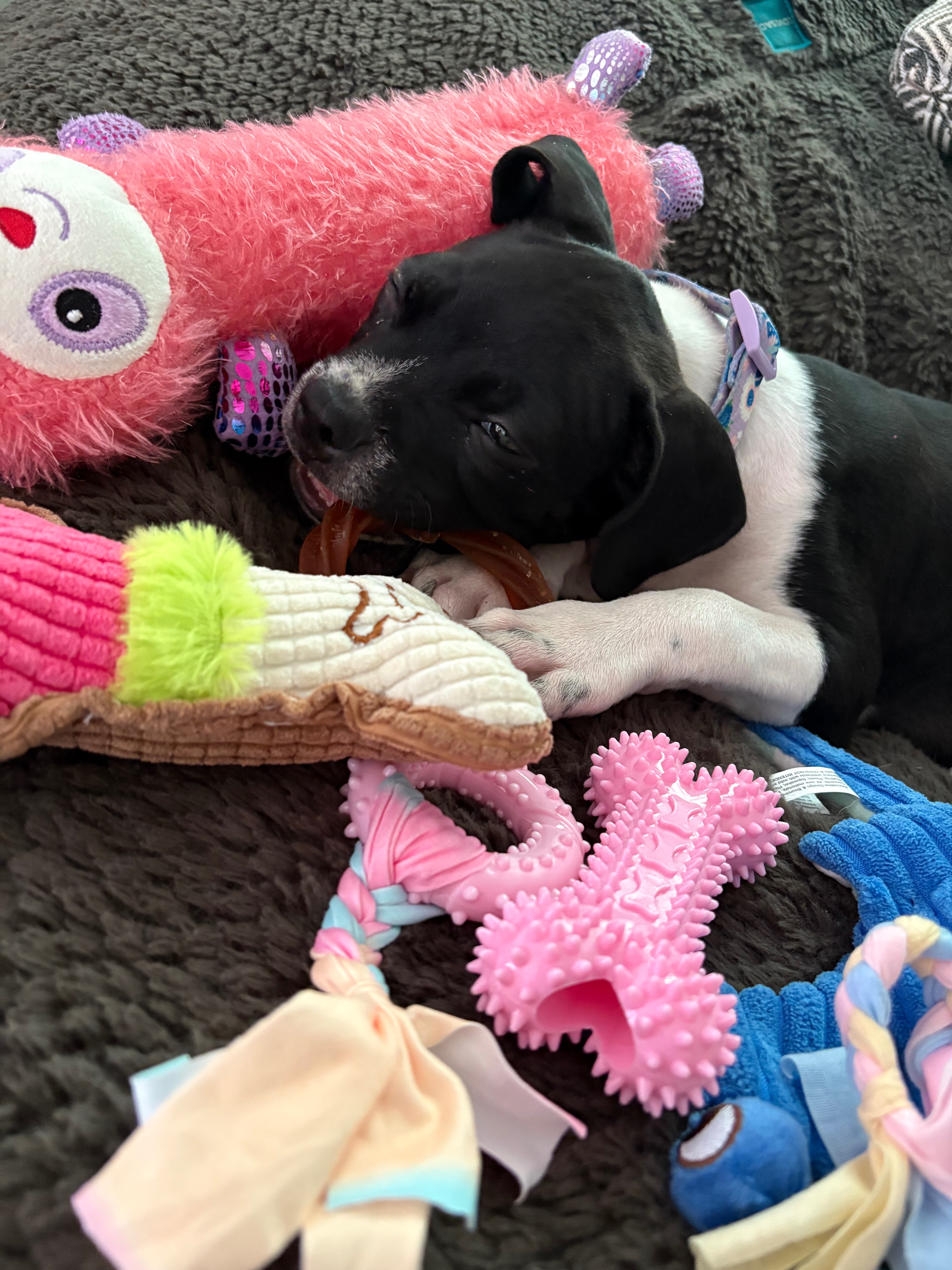 Support Ella's Urgent Eye Surgery campaign photo, 4 of 7