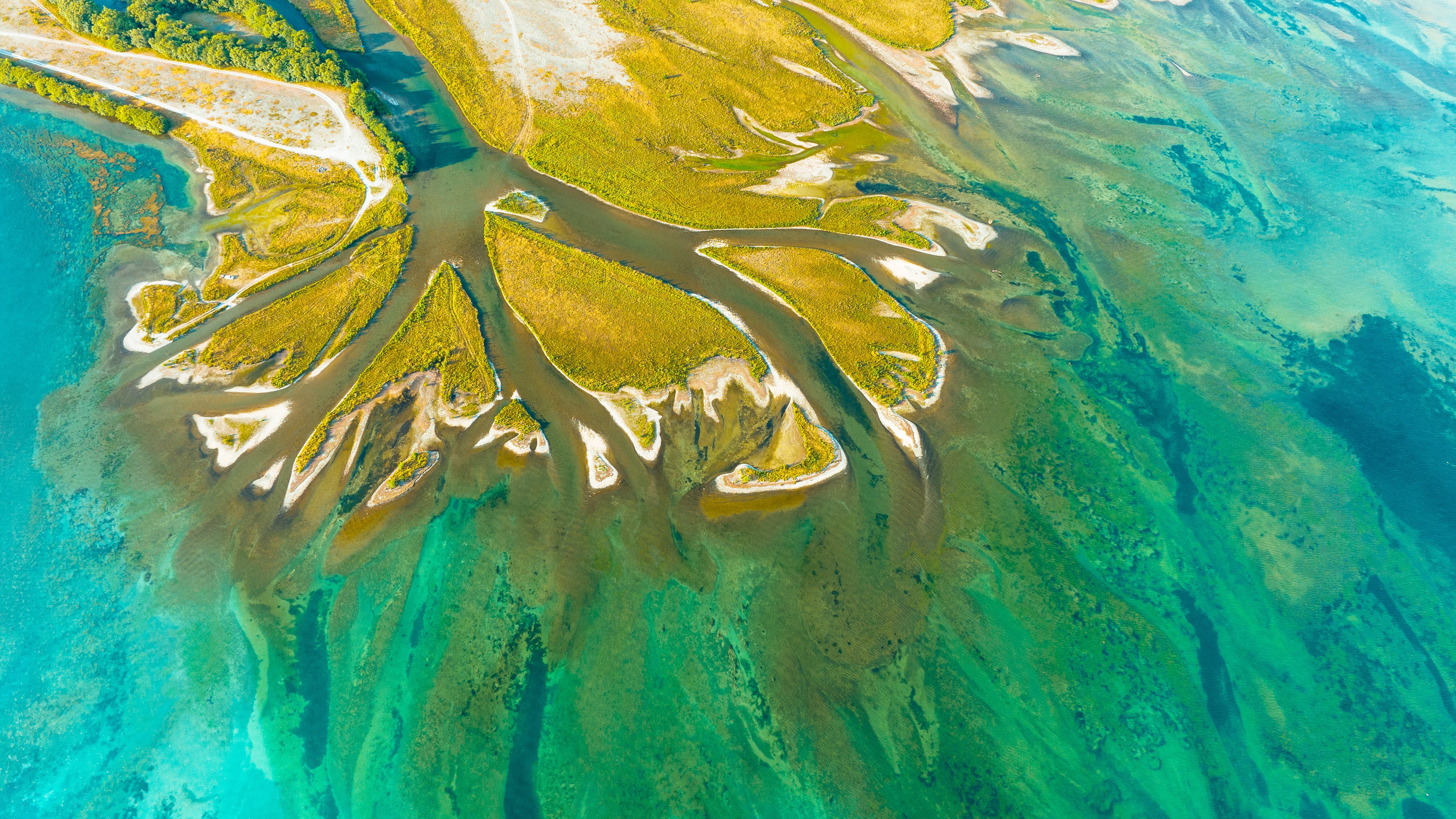 User-uploaded image 1