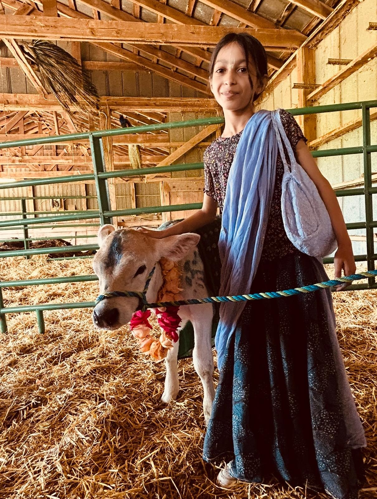 Support Visakha's Mission to Rescue Calves campaign photo, 5 of 8