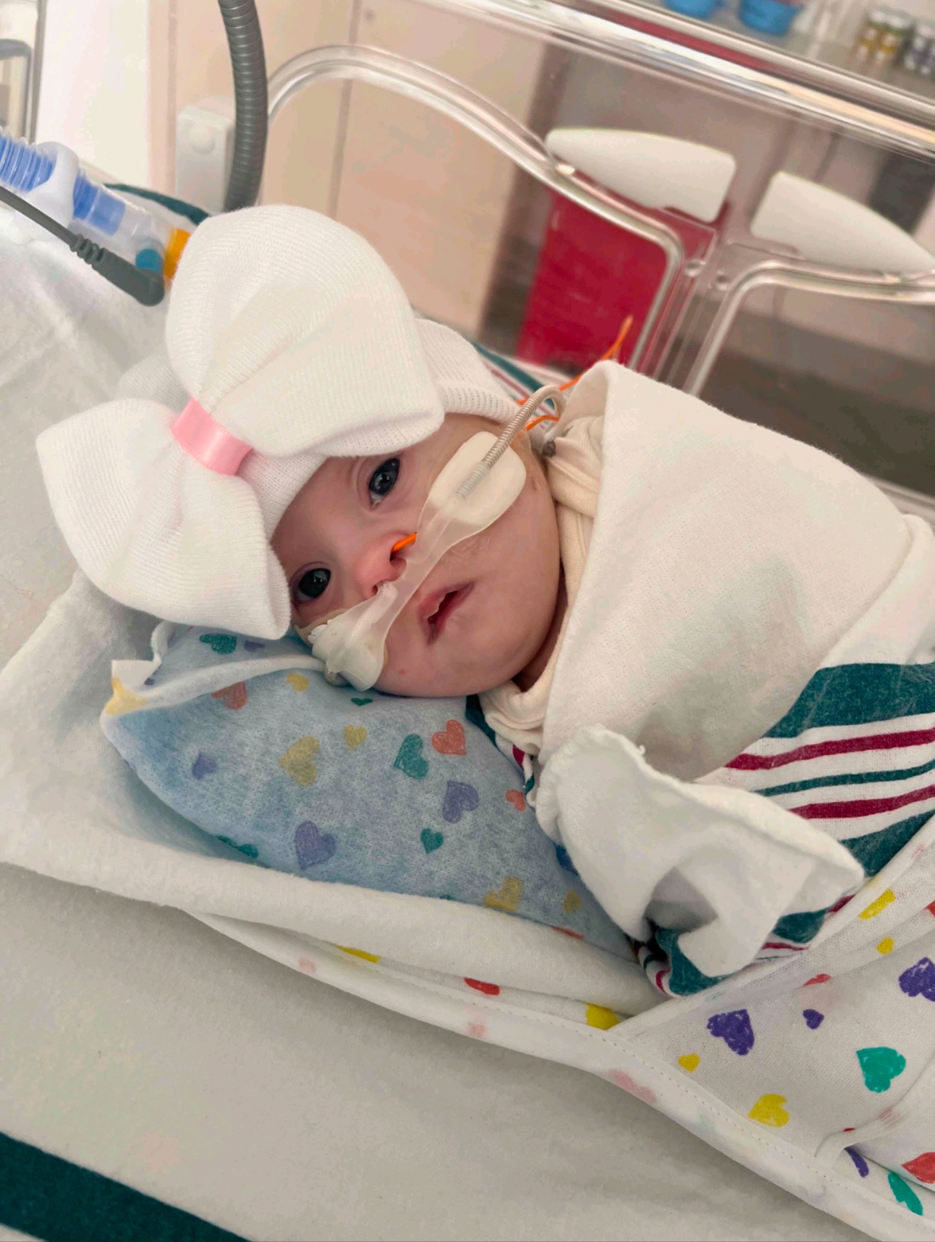 Help the Cribb Family Honor Wrenley Mae campaign photo, 6 of 8