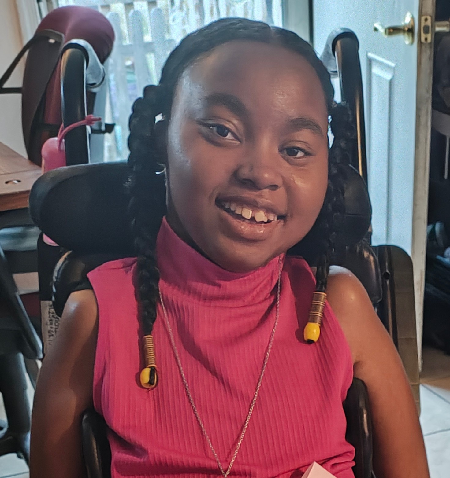 In Memory of Mir Mir: Help Support Her Final Journey campaign photo, 7 of 8