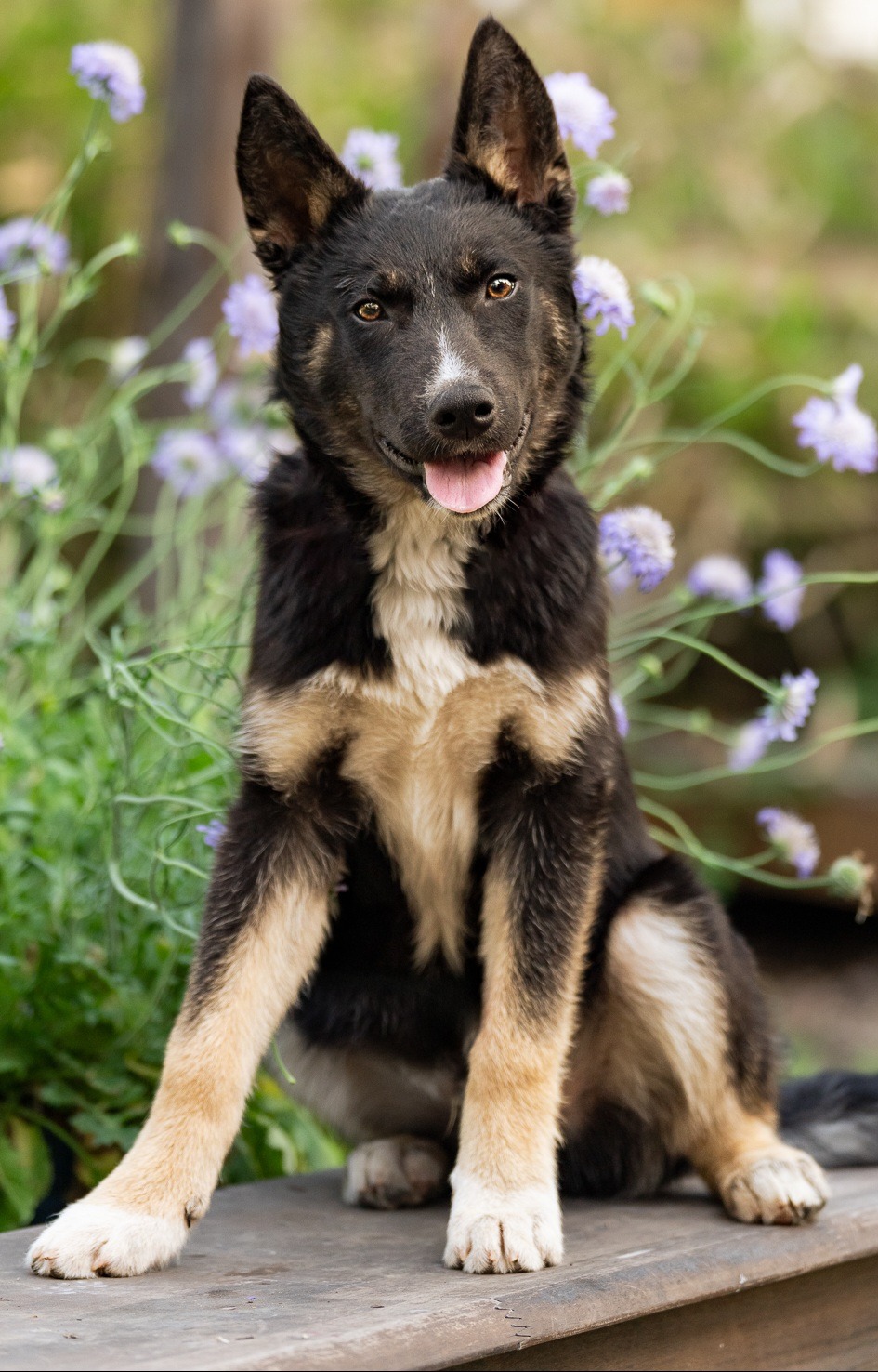Donate to Cowboy's Life-Changing Hip Surgery campaign photo, 7 of 8