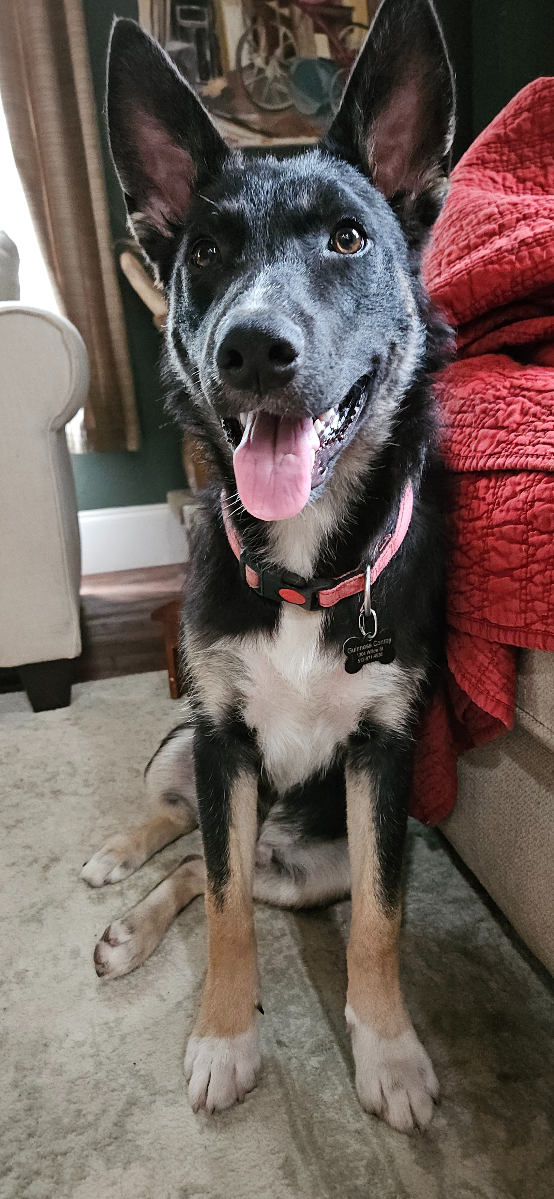 Donate to Cowboy's Life-Changing Hip Surgery campaign photo, 2 of 8