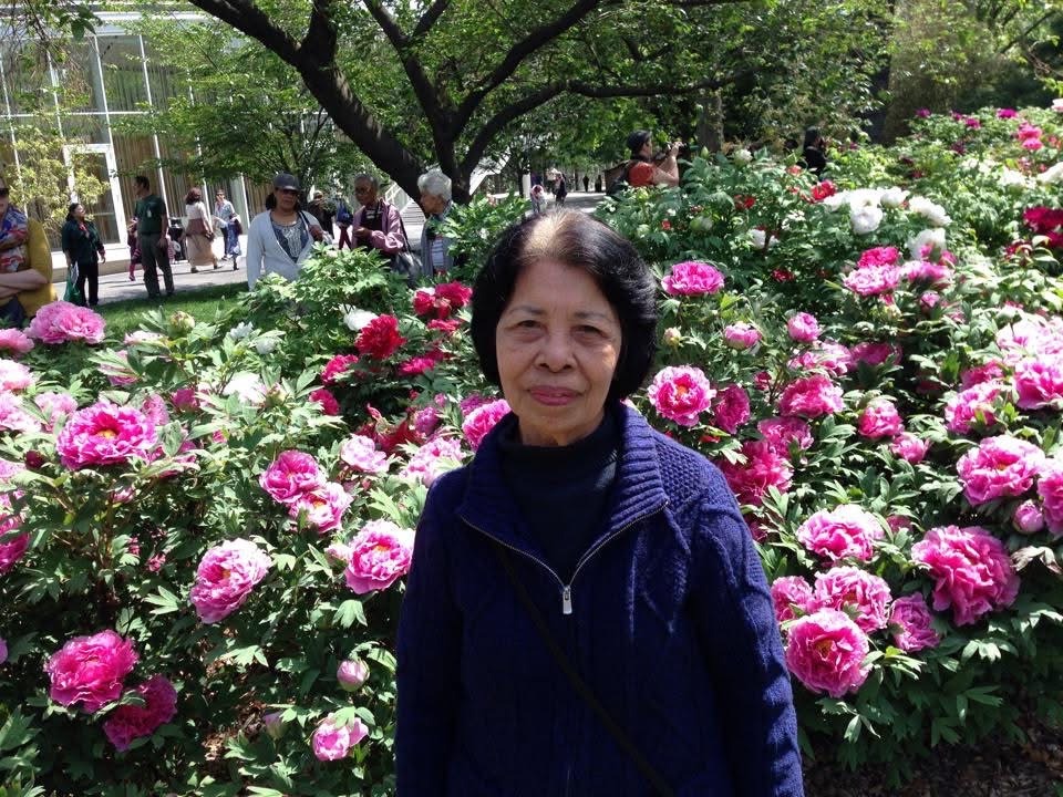 Support for Grandma's Final Journey campaign photo, 6 of 8