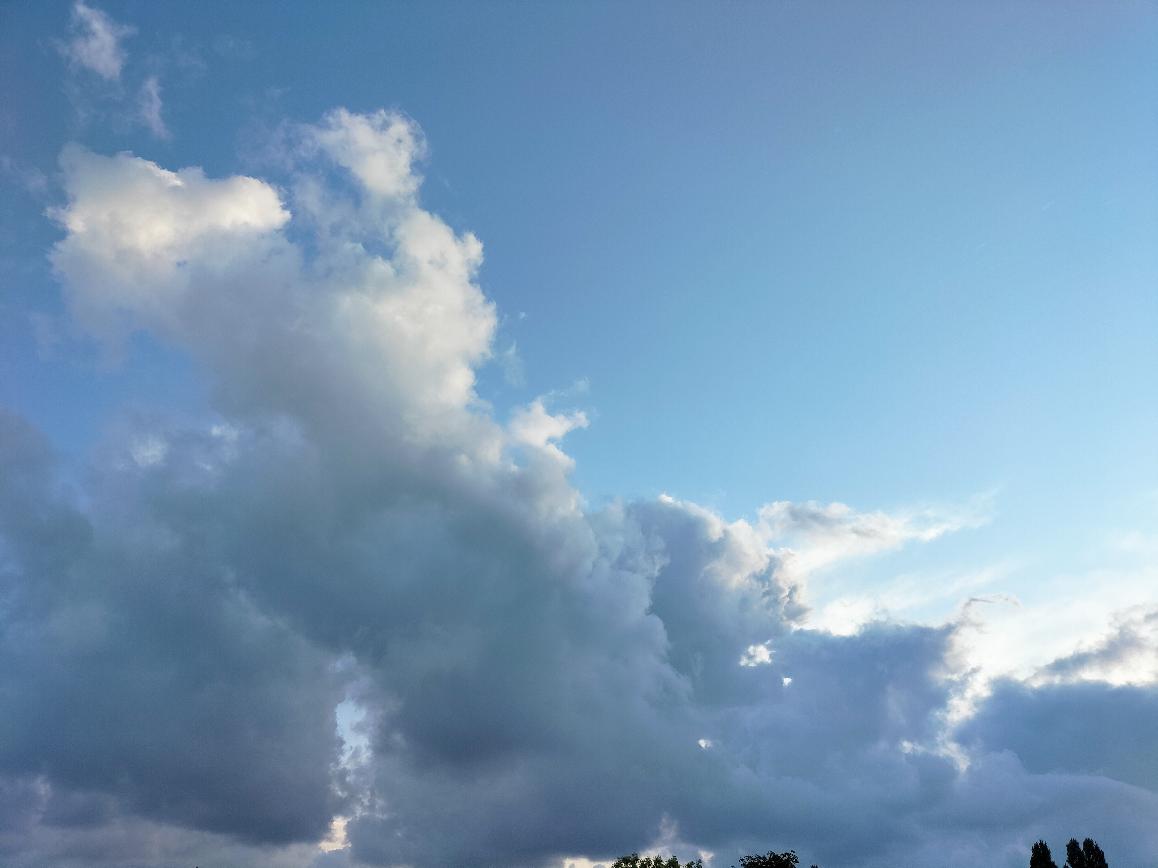 User-uploaded image 1