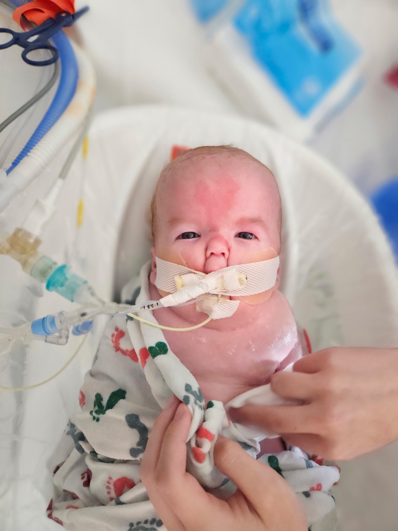 Support for Danika’s NICU Journey campaign photo, 7 of 8
