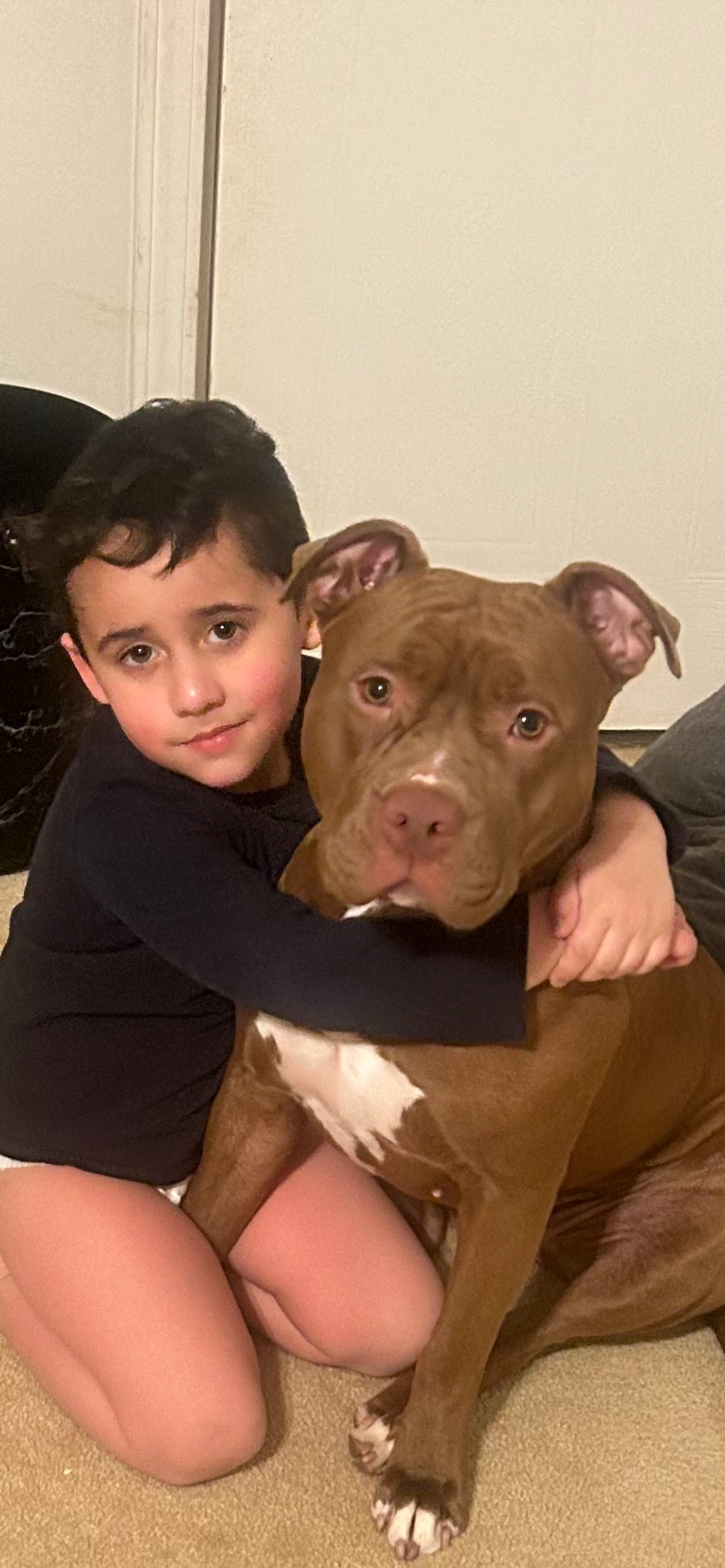 Save Akima: Emergency Surgery Needed campaign photo, 6 of 8
