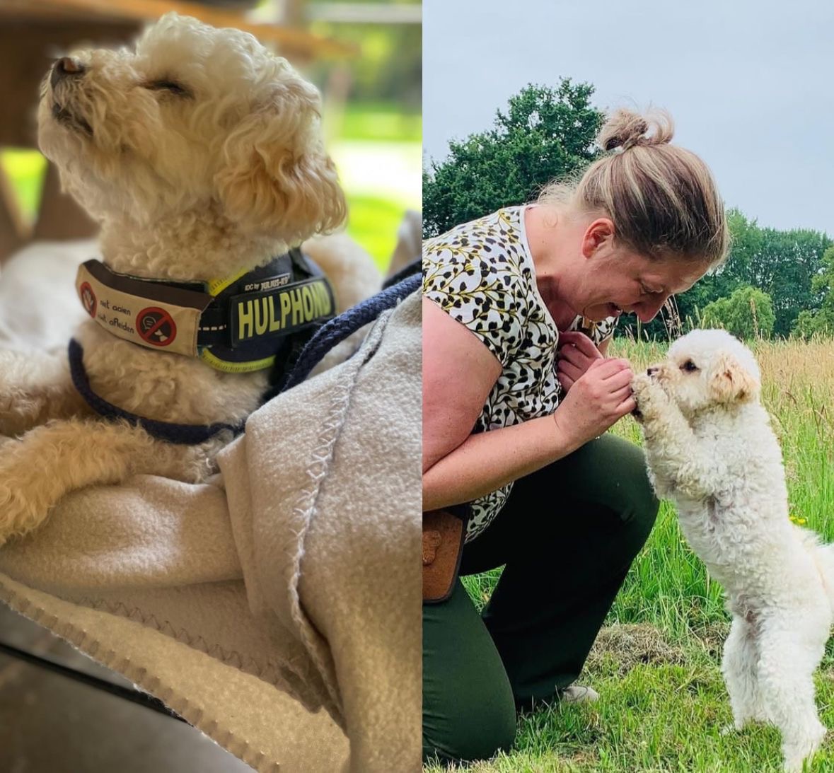 Help mijn zus weer een pootje aan haar zijde te krijgen campaign photo, 2 of 4