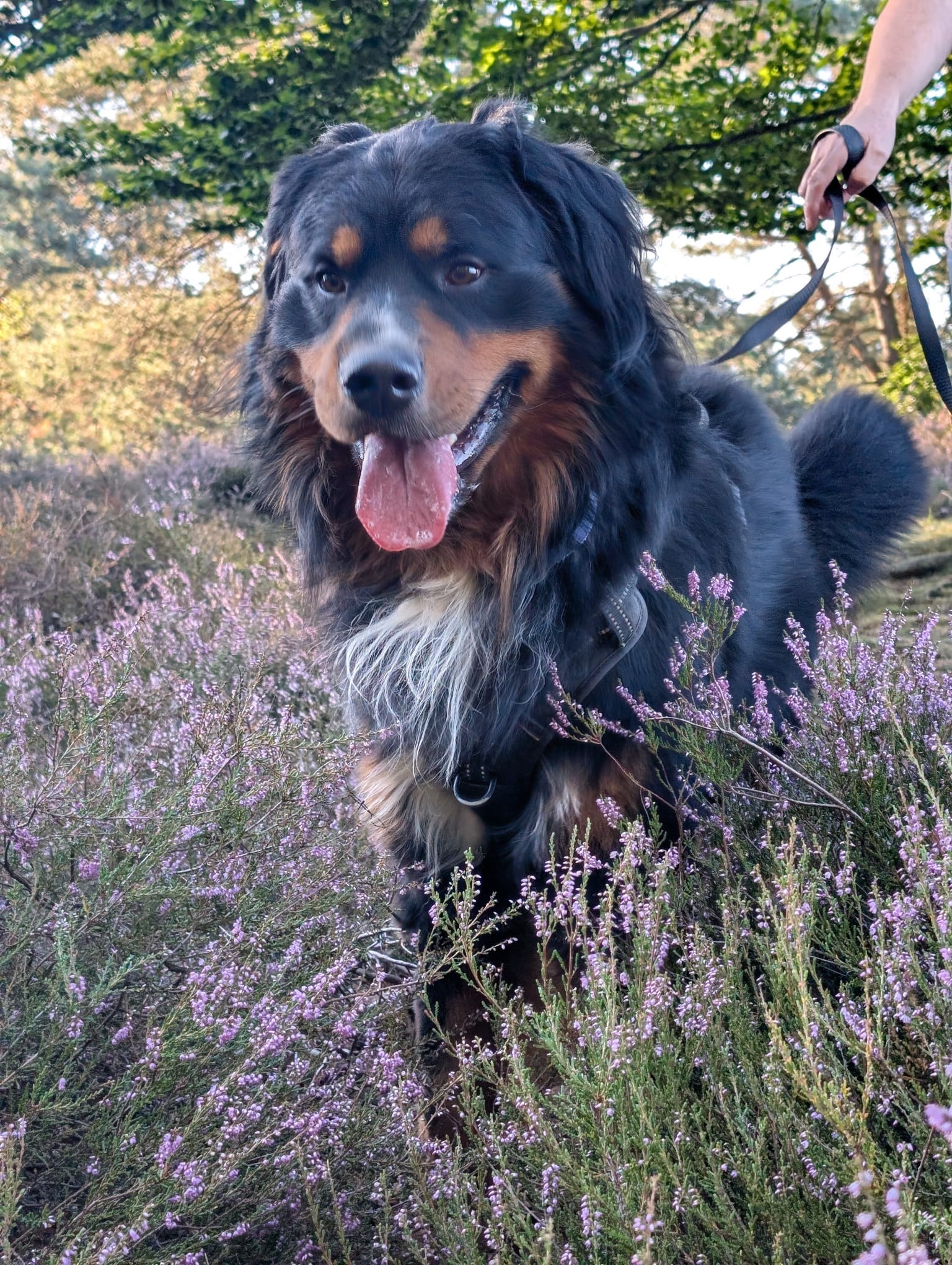 Unterstützung nach Skallis Bestrahlungstherapie campaign photo, 4 of 7