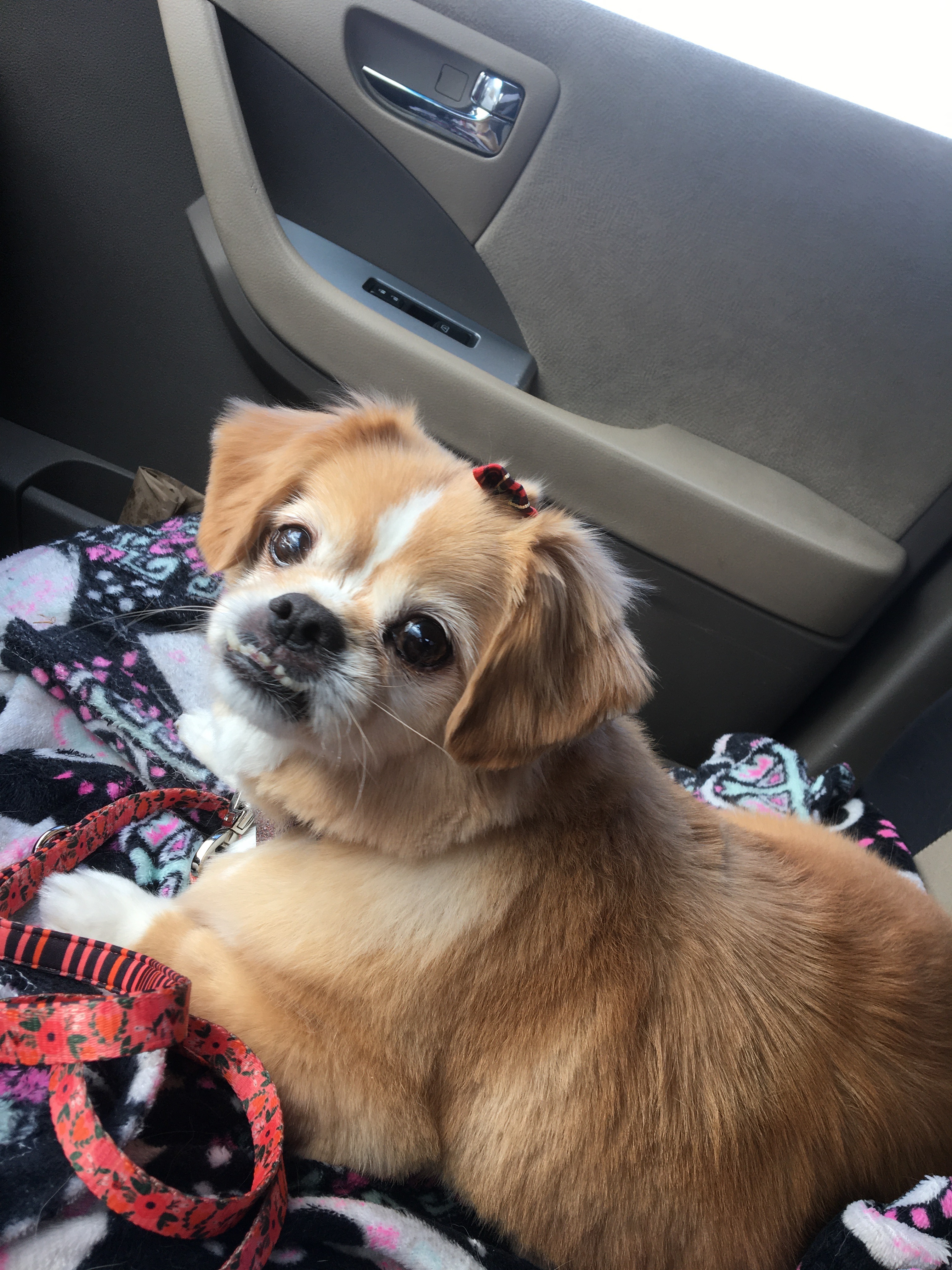Save Maya: Fund Her Jaw Surgery campaign photo, 4 of 7