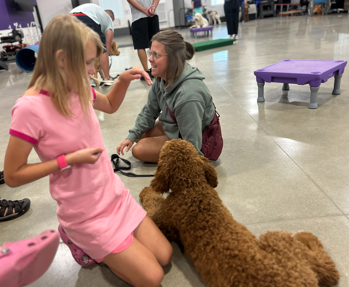 Help Olivia Get Her Life Changing Service Dog campaign photo, 4 of 6