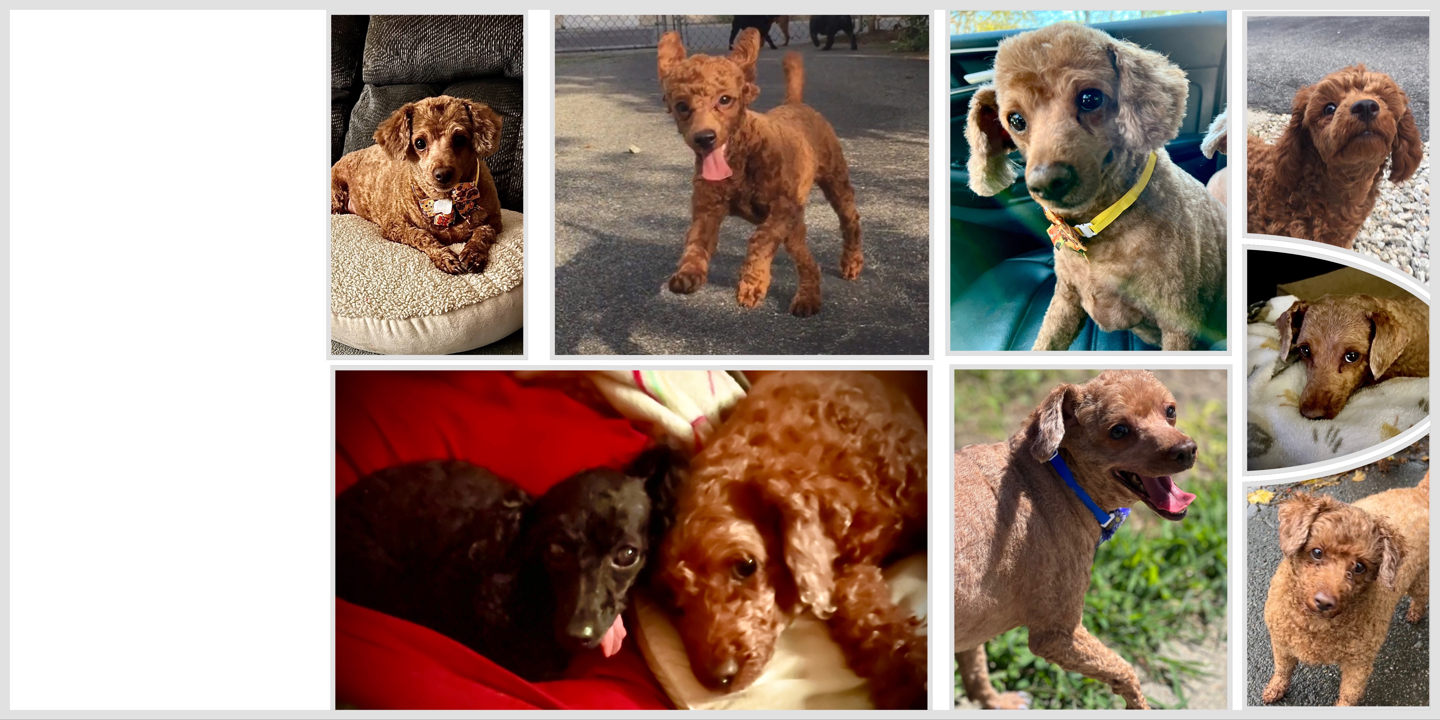 User-uploaded image 1