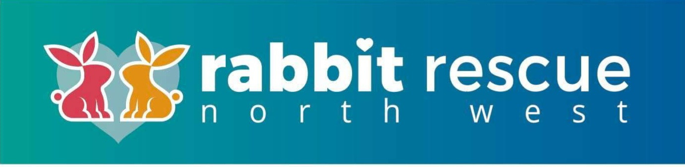 SEPEMBER FOR RABBIT RESCUE NORTH WEST campaign photo, 4 of 8