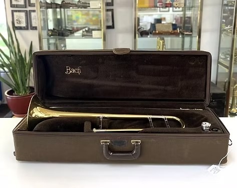 User-uploaded image 1