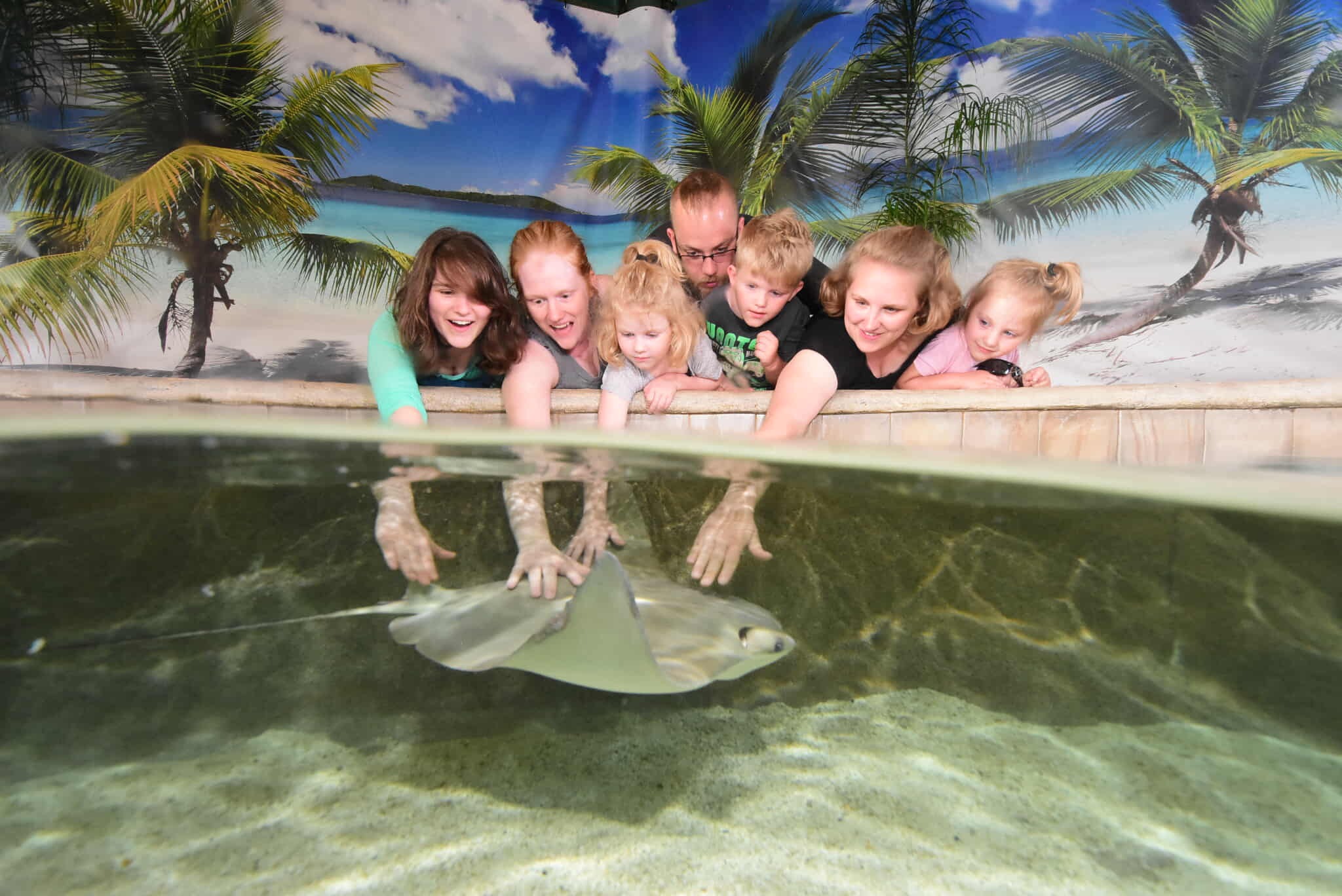 Honoring Emily Johnson: Help with Final Expenses campaign photo, 4 of 8