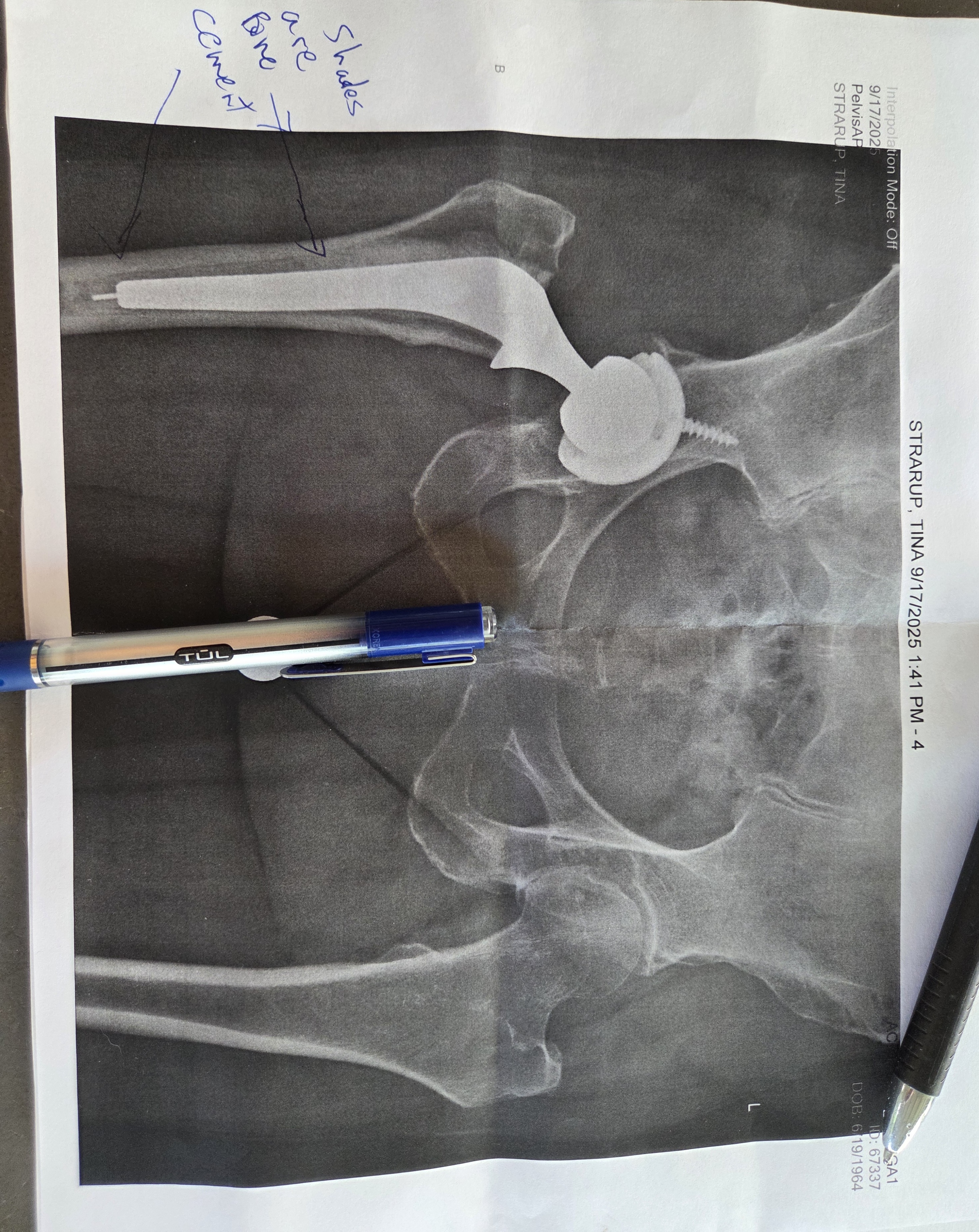 Support Tina's Journey to Recovery and Independence campaign photo, 4 of 8