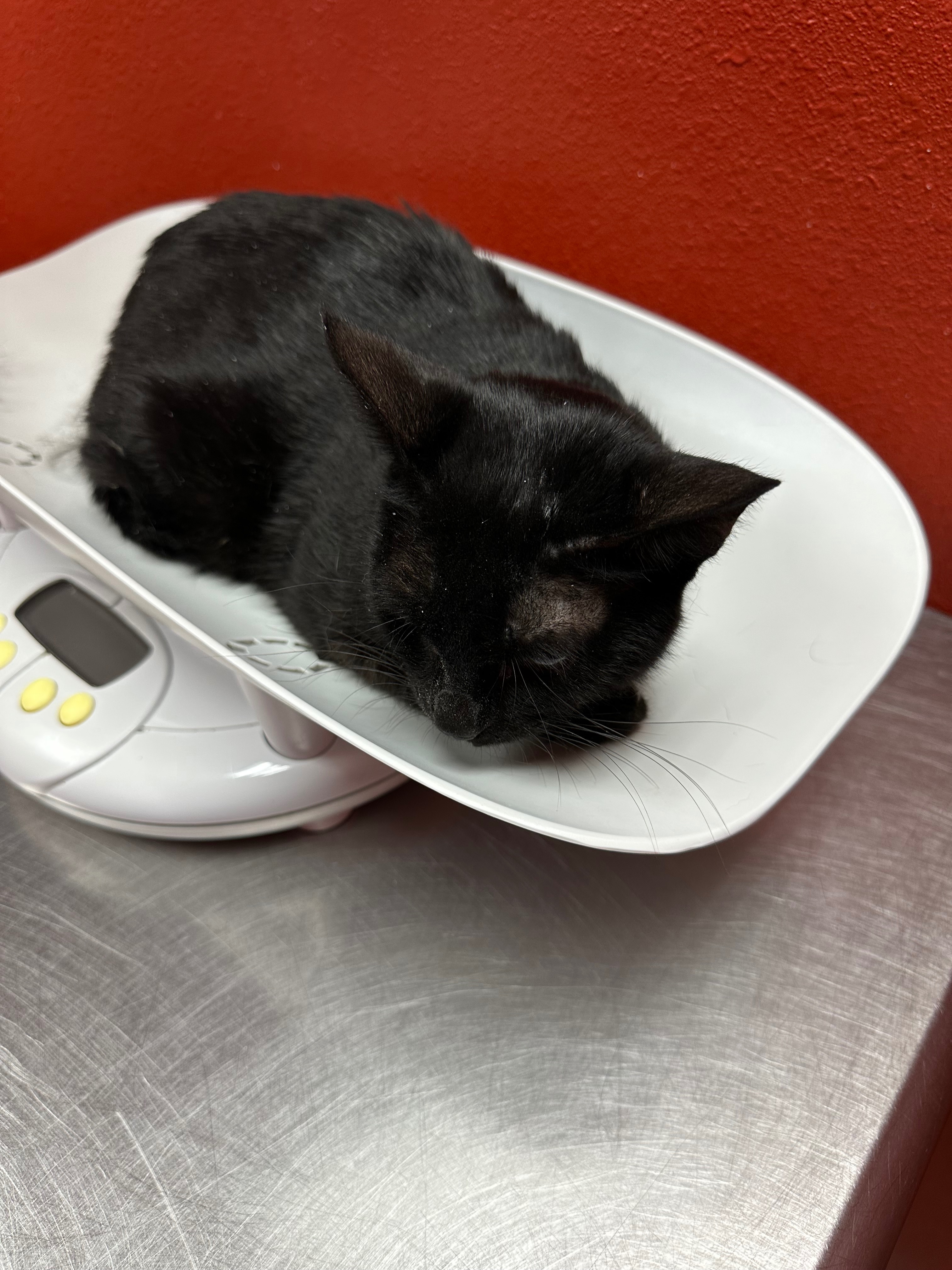 Urgent Care for Batty's Oral Surgery campaign photo, 4 of 7
