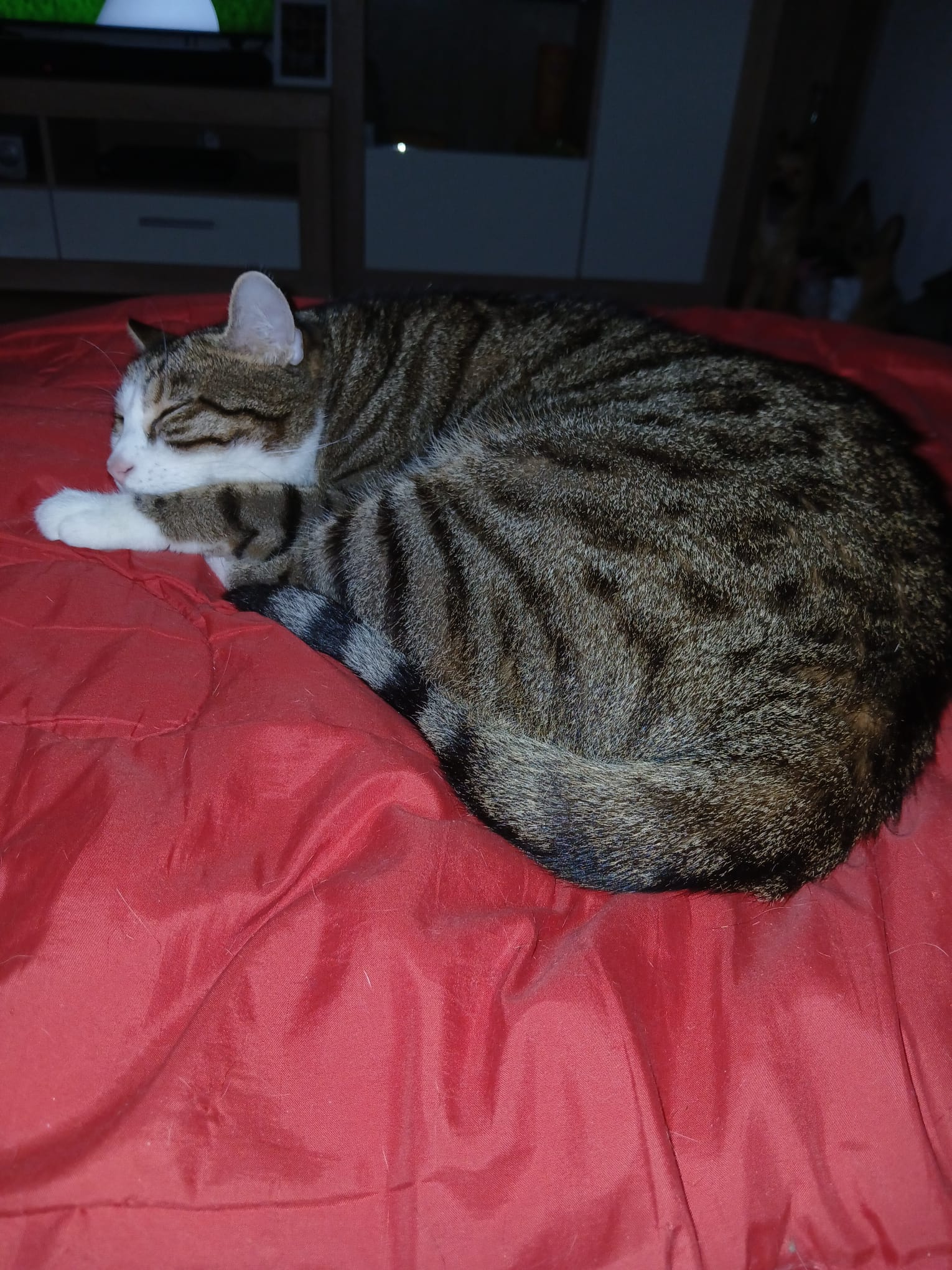 Ich habe Lungenkrebs und brauche Hilfe campaign photo, 5 of 8