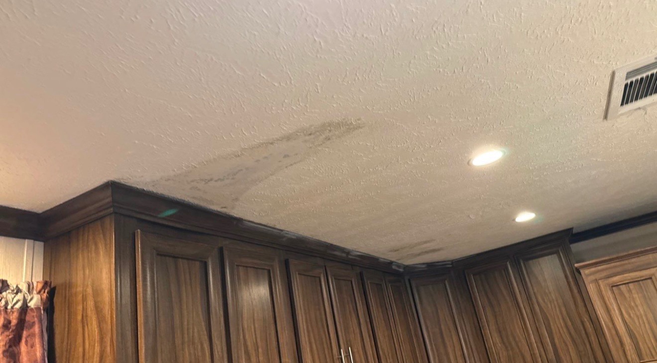 User-uploaded image 1