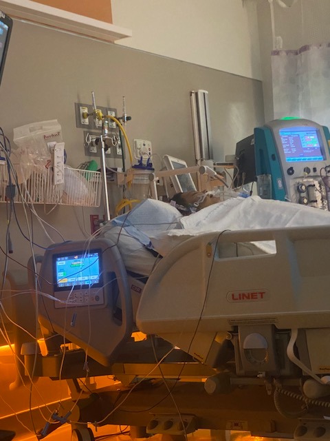 Help Laura Heal: Life After Liver Transplant campaign photo, 2 of 8