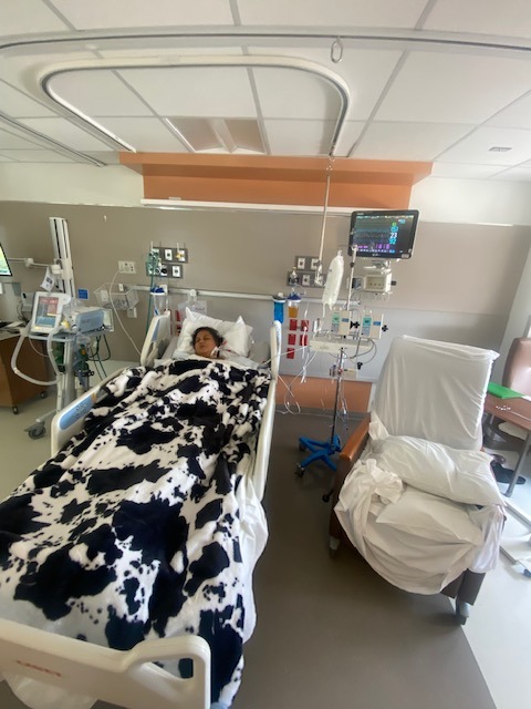 Help Laura Heal: Life After Liver Transplant campaign photo, 4 of 8