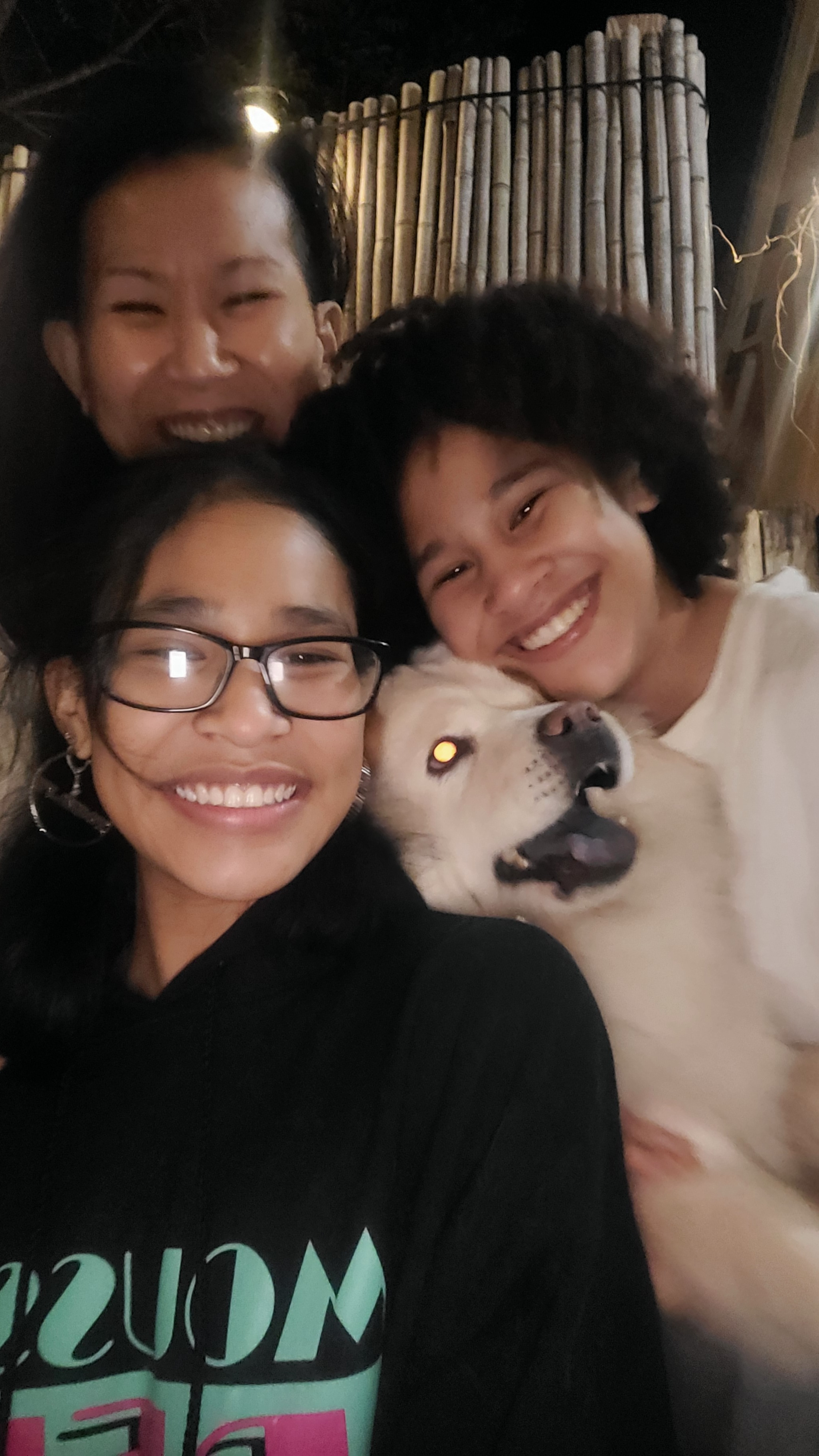 Urgent Surgery Needed for Family Dog campaign photo, 4 of 7