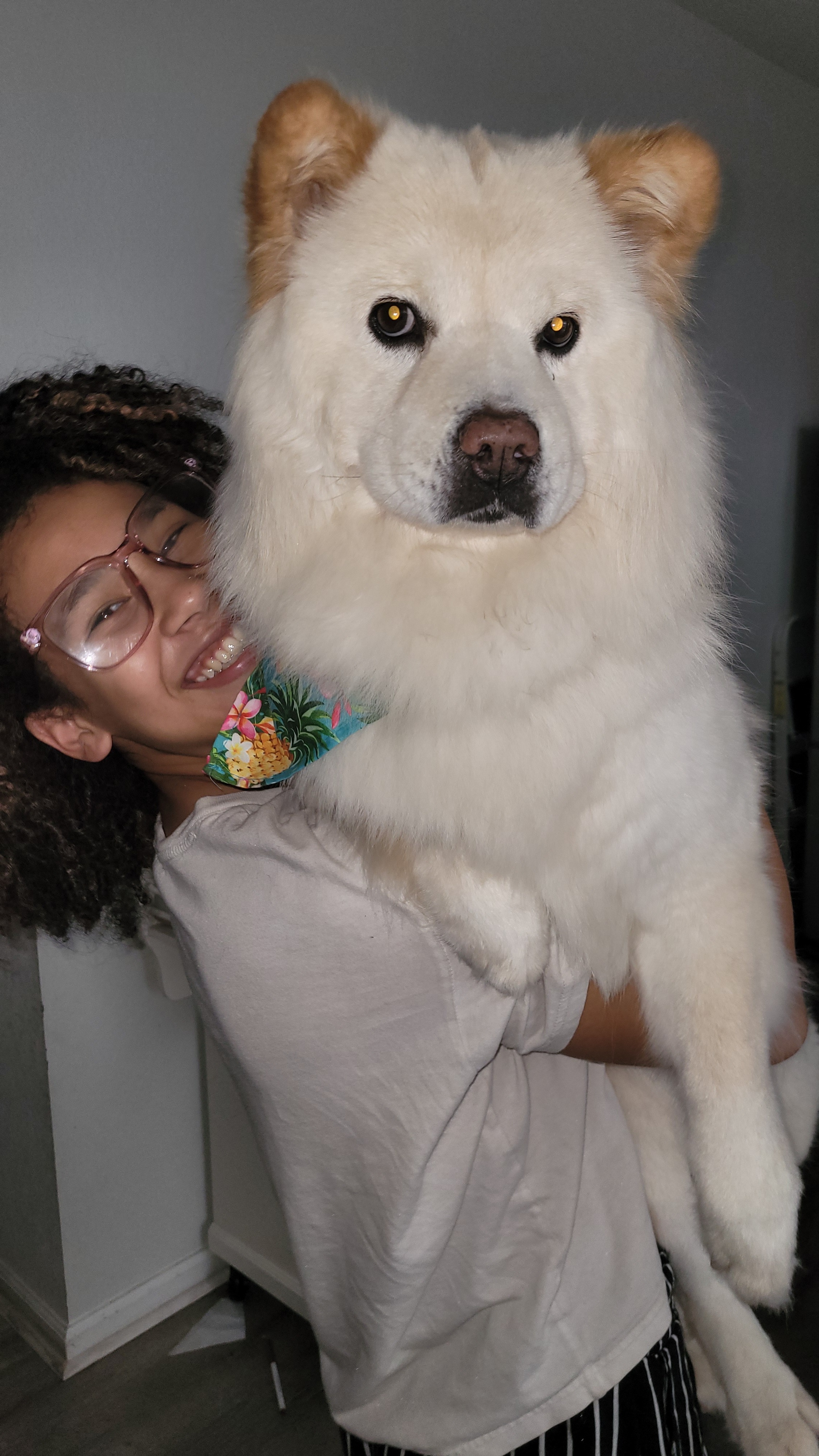 Urgent Surgery Needed for Family Dog campaign photo, 5 of 7