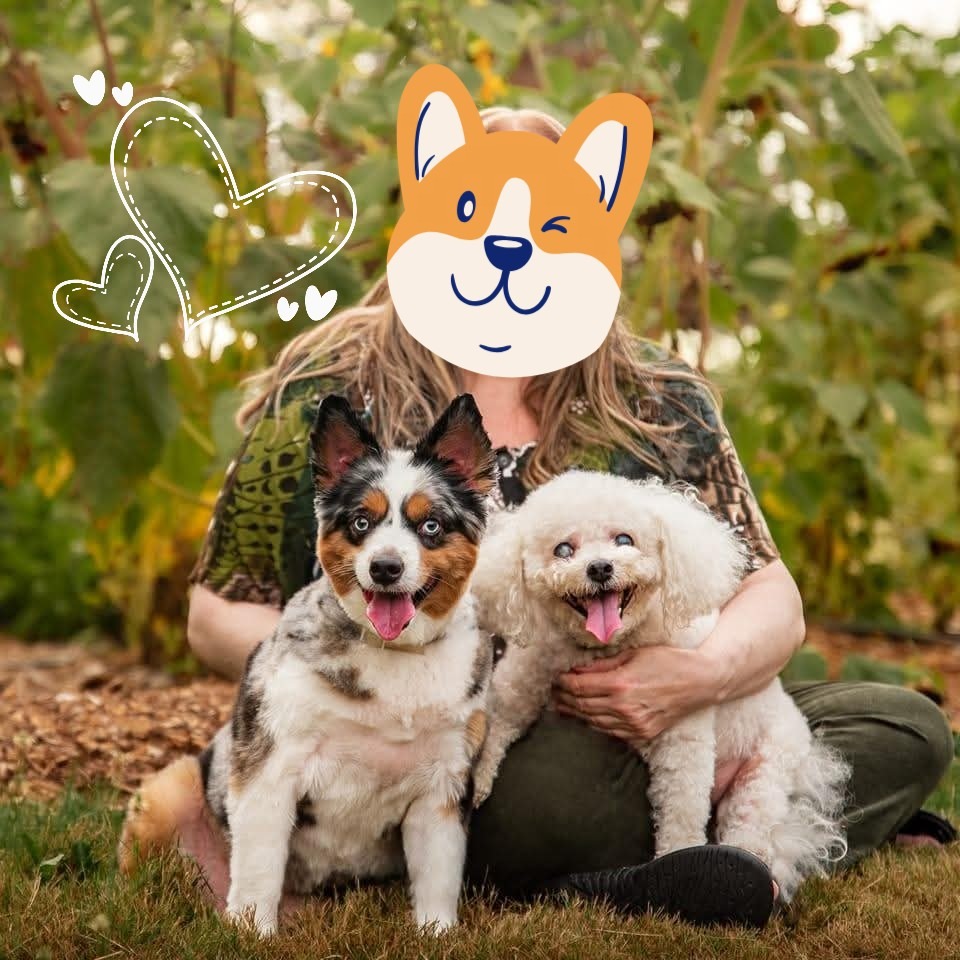 Help Barbara Heal and Care for Her Dogs campaign photo, 7 of 7