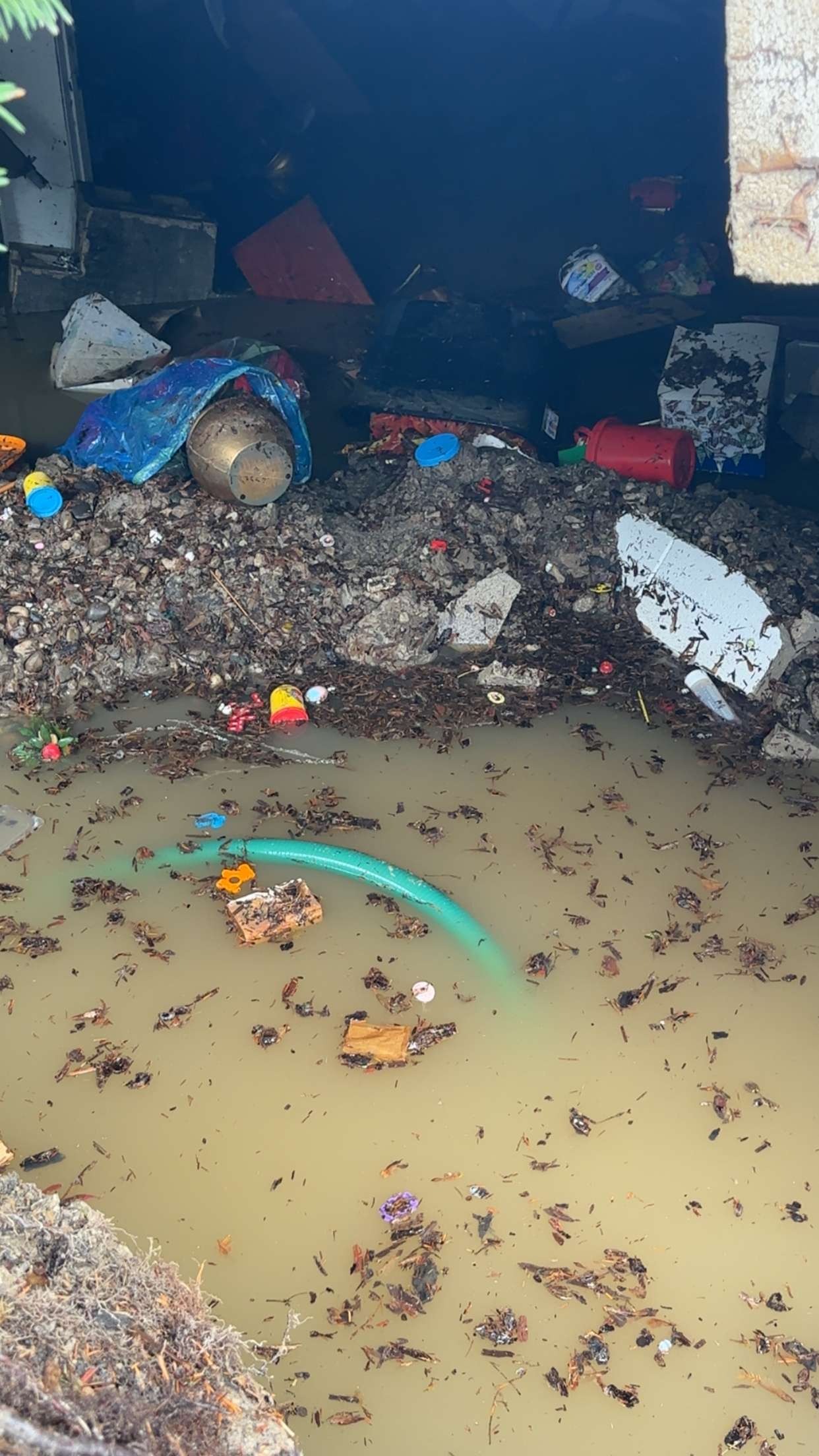 Hill Family Needs Help After Flood Damage campaign photo, 6 of 8