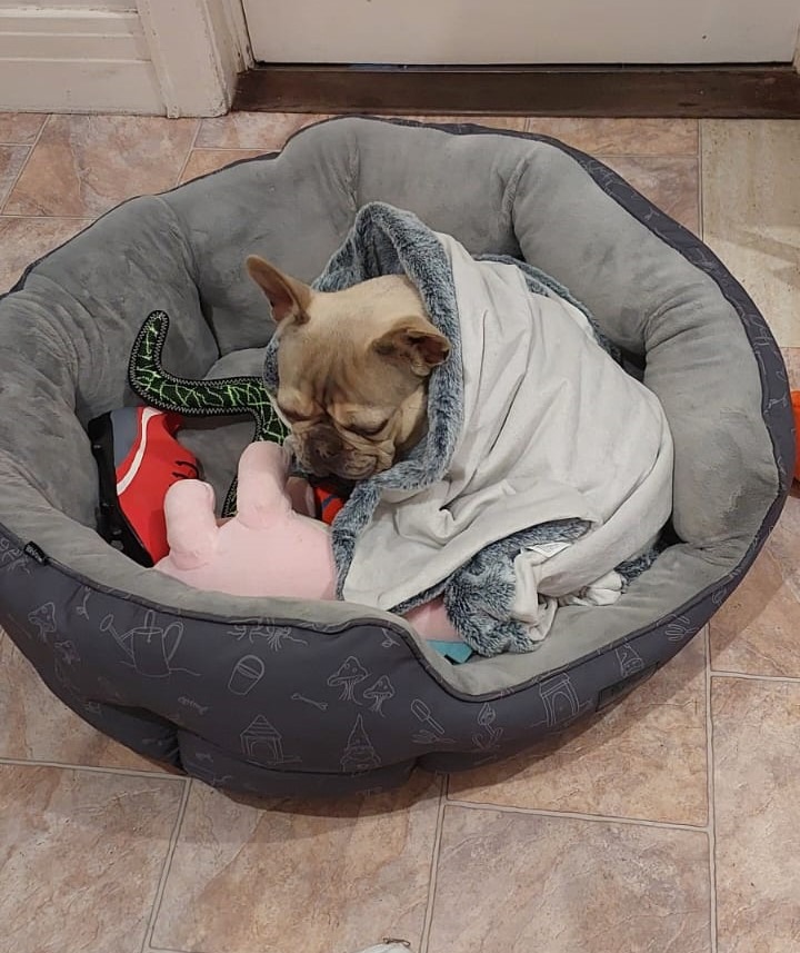 Help Theo Breathe Again: Urgent Surgery Needed campaign photo, 7 of 8
