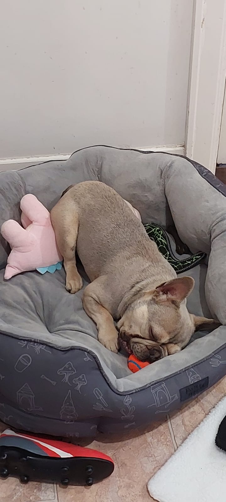 Help Theo Breathe Again: Urgent Surgery Needed campaign photo, 2 of 8