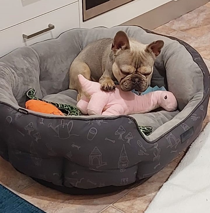 Help Theo Breathe Again: Urgent Surgery Needed campaign photo, 5 of 8