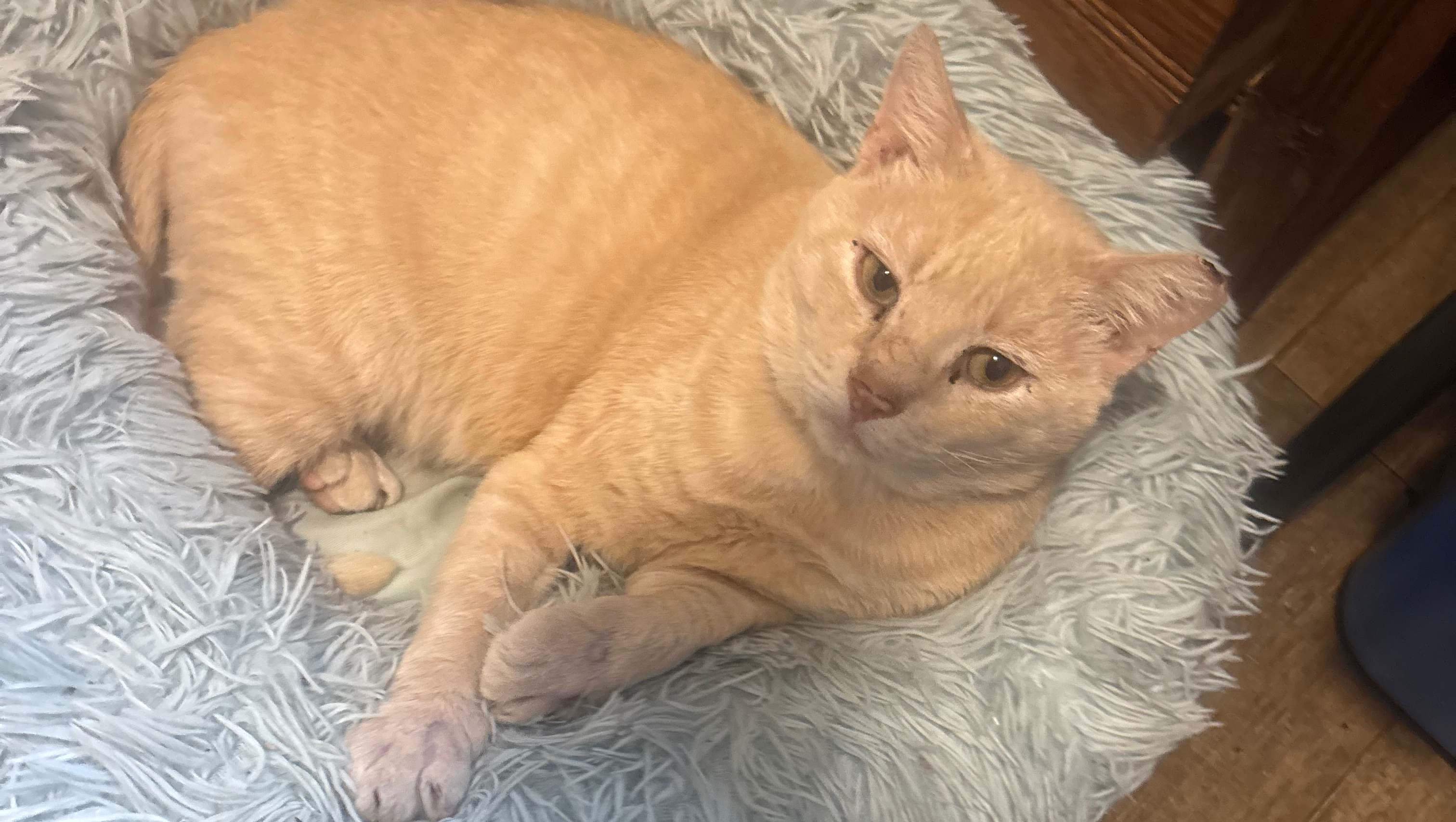 Help Tommy Heal from Severe Injuries photo