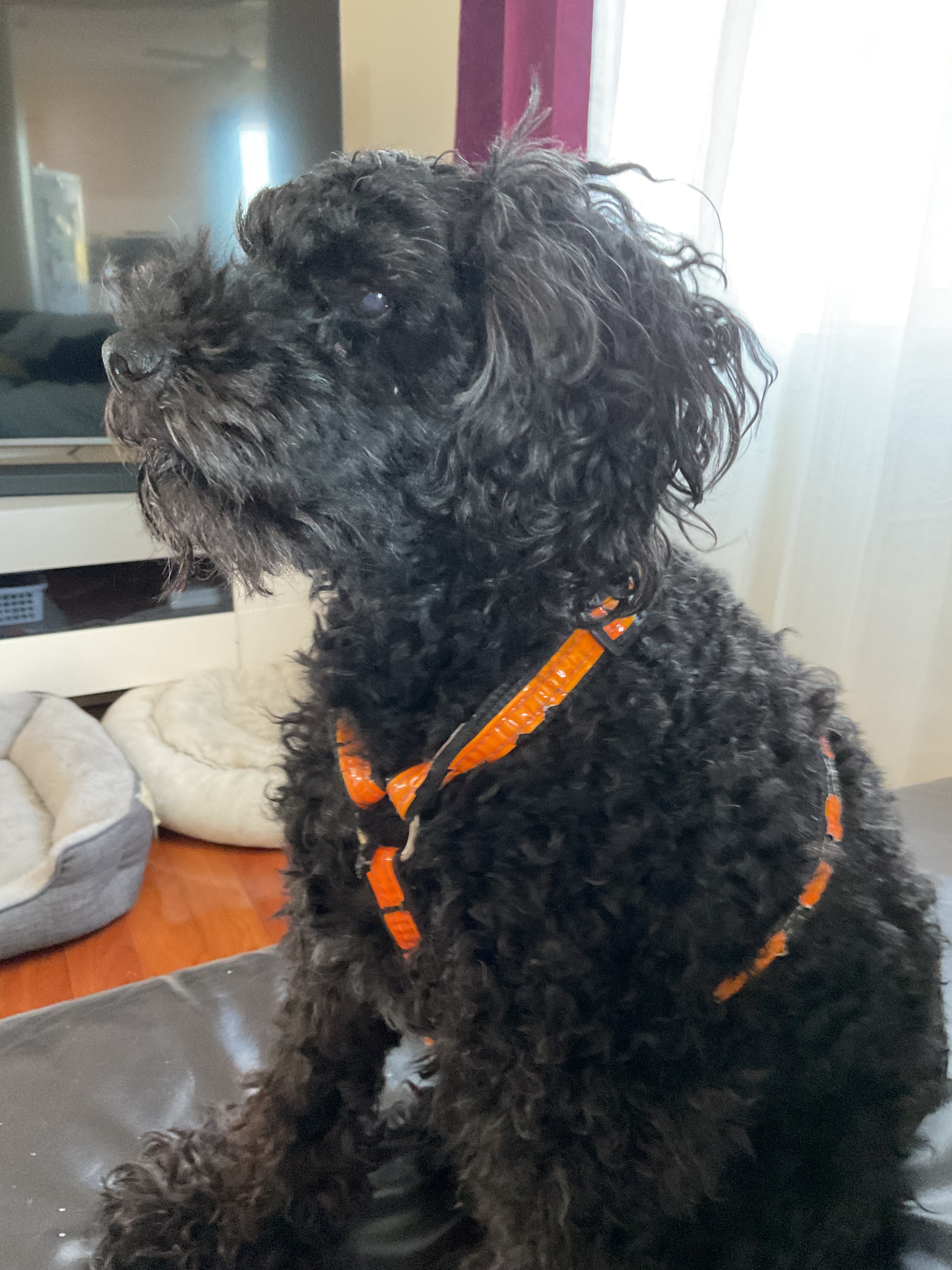 User-uploaded image 1