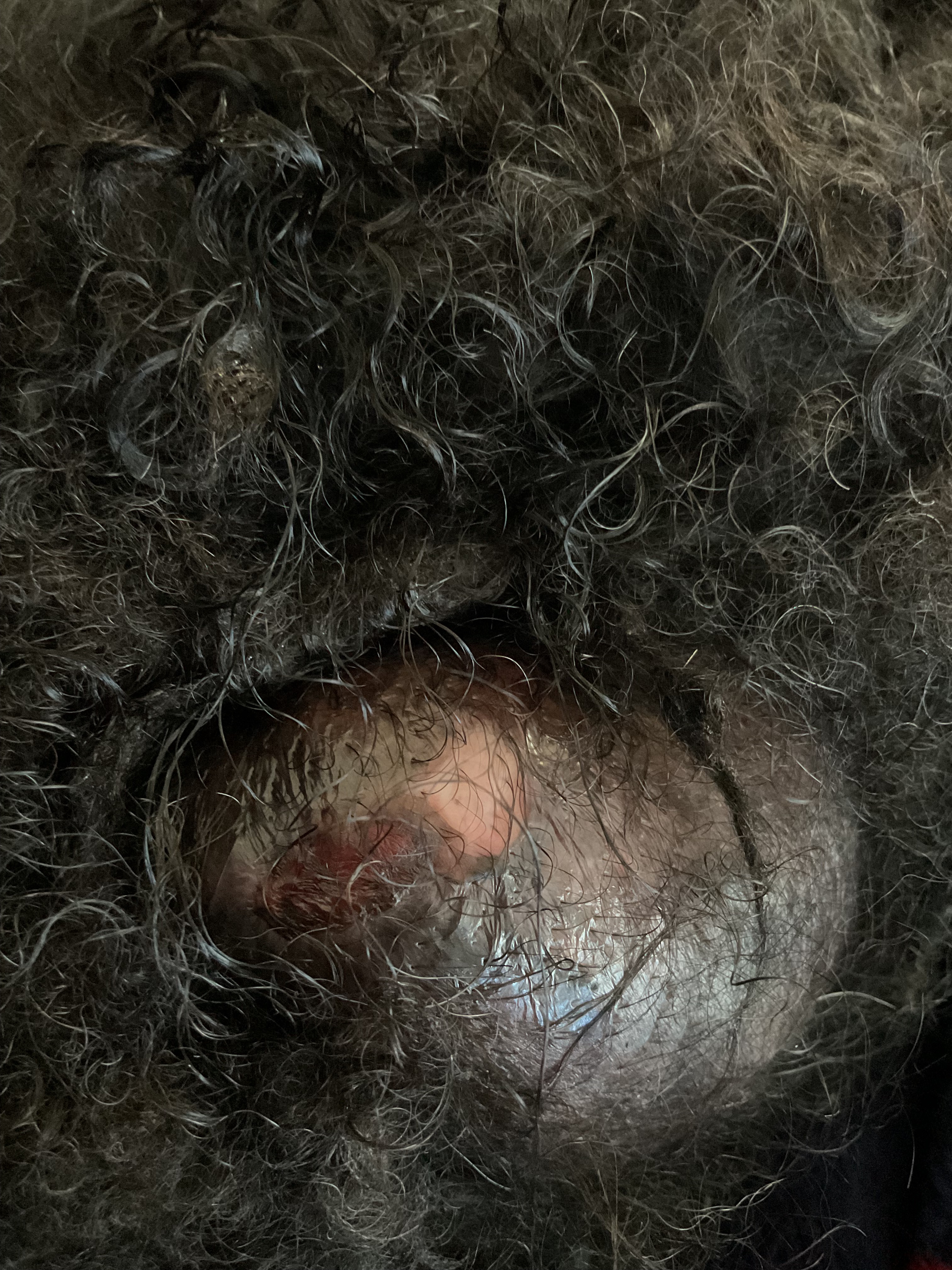 User-uploaded image 2