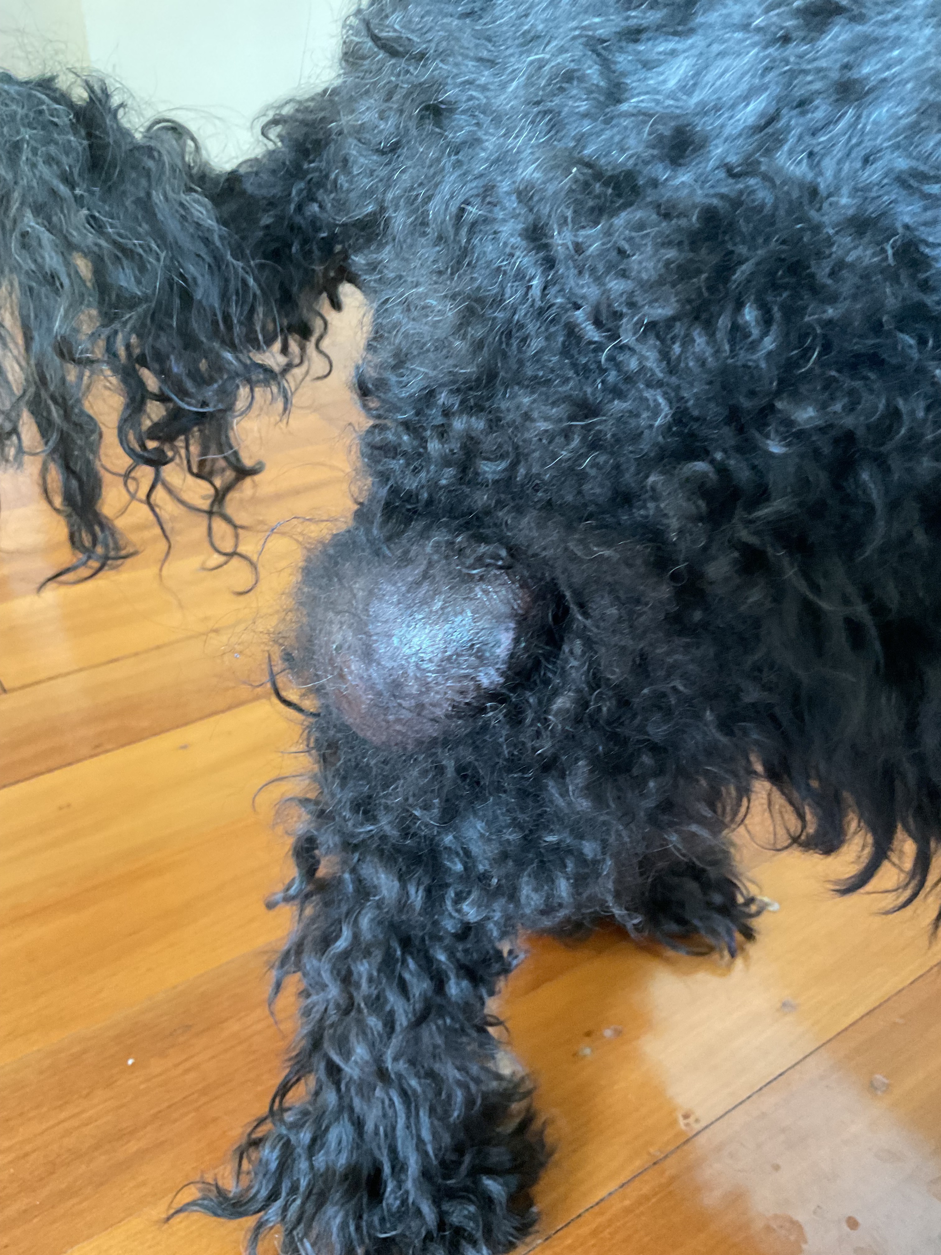 User-uploaded image 4