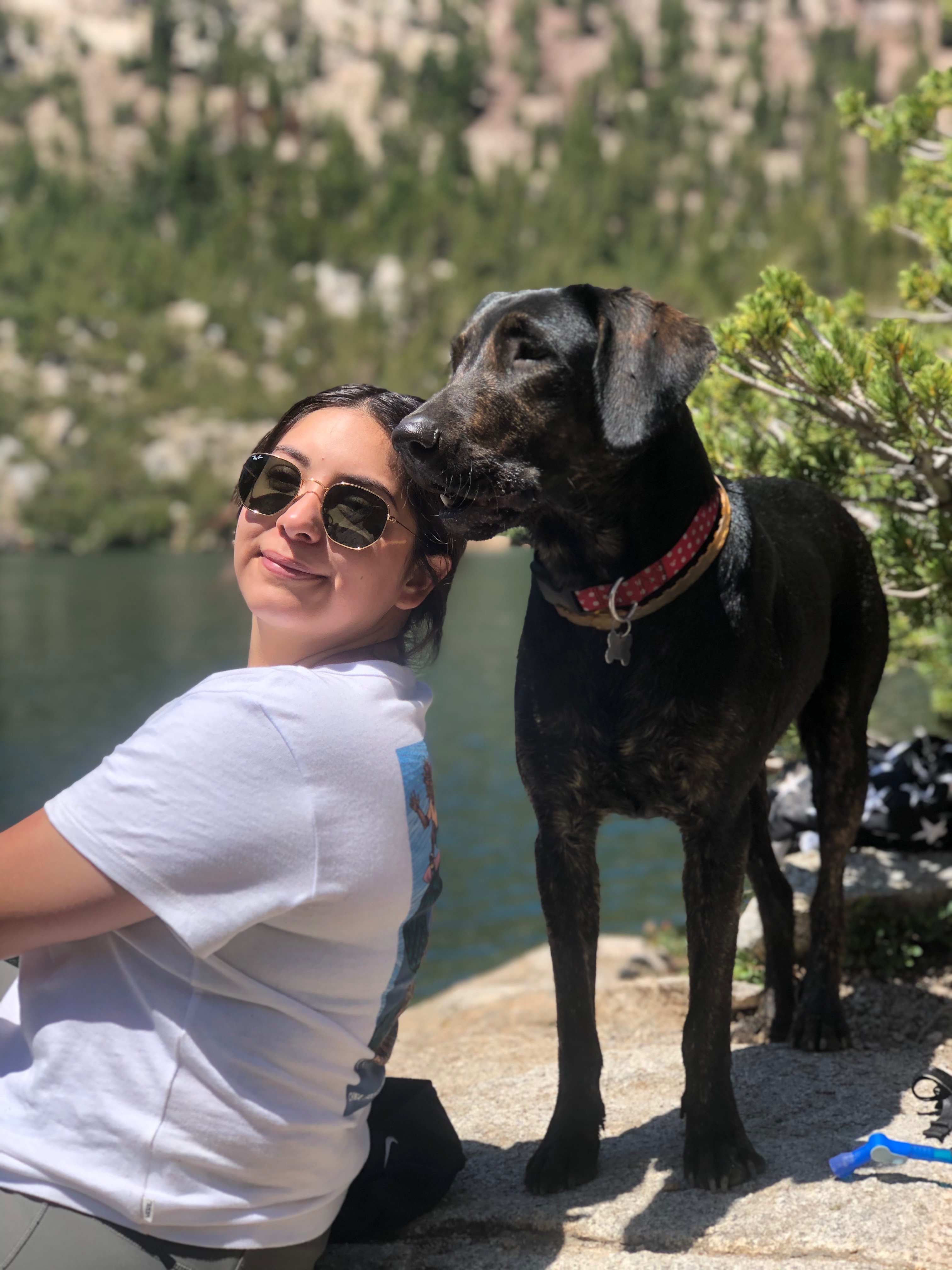 Bailey Needs Your Help for Surgery campaign photo, 6 of 8