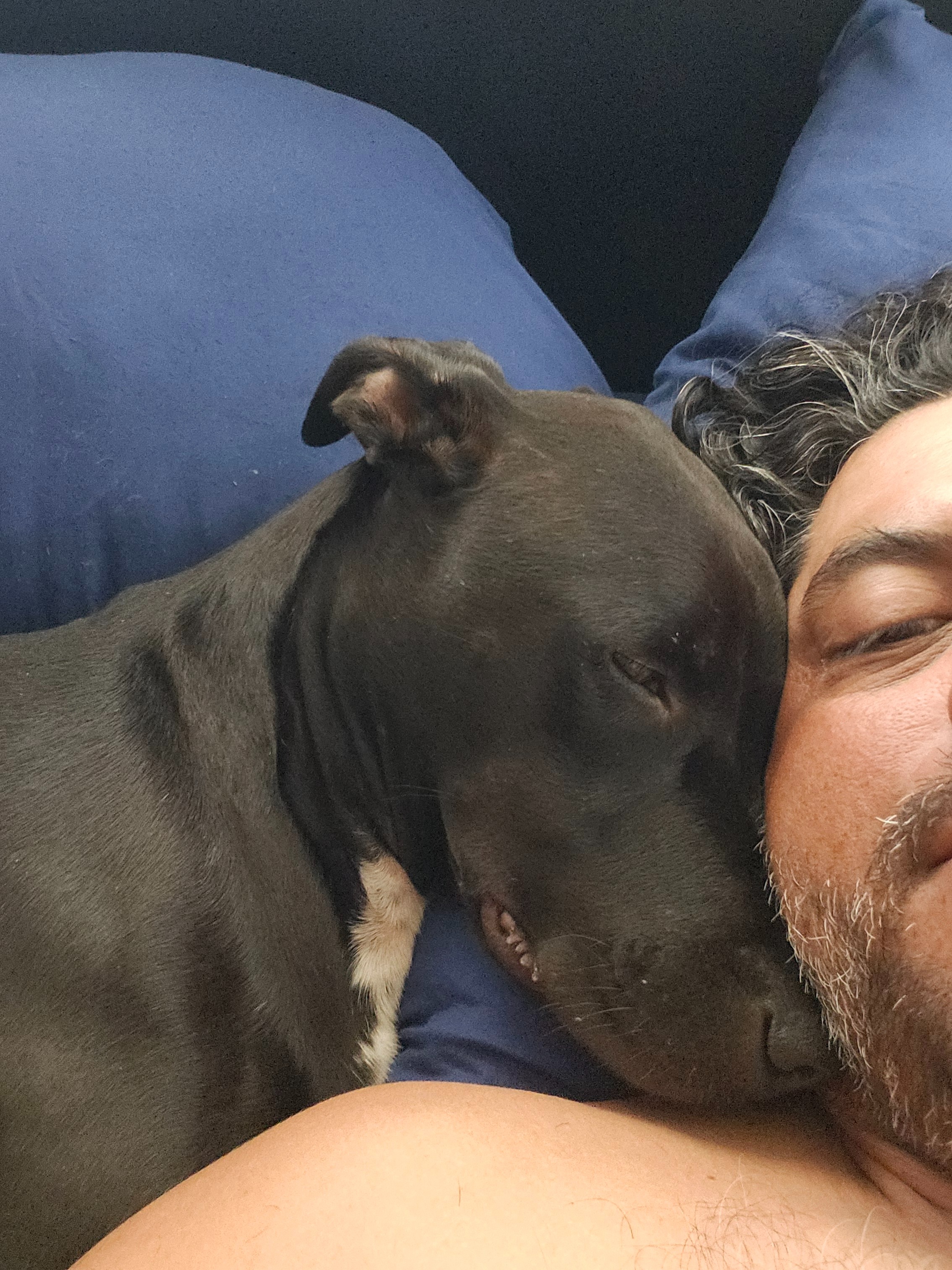 Help DeeOhGee Get Urgent Veterinary Care campaign photo, 5 of 8