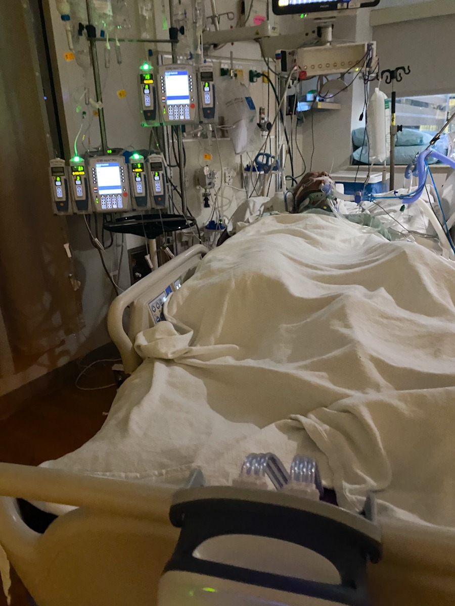 User-uploaded image 1