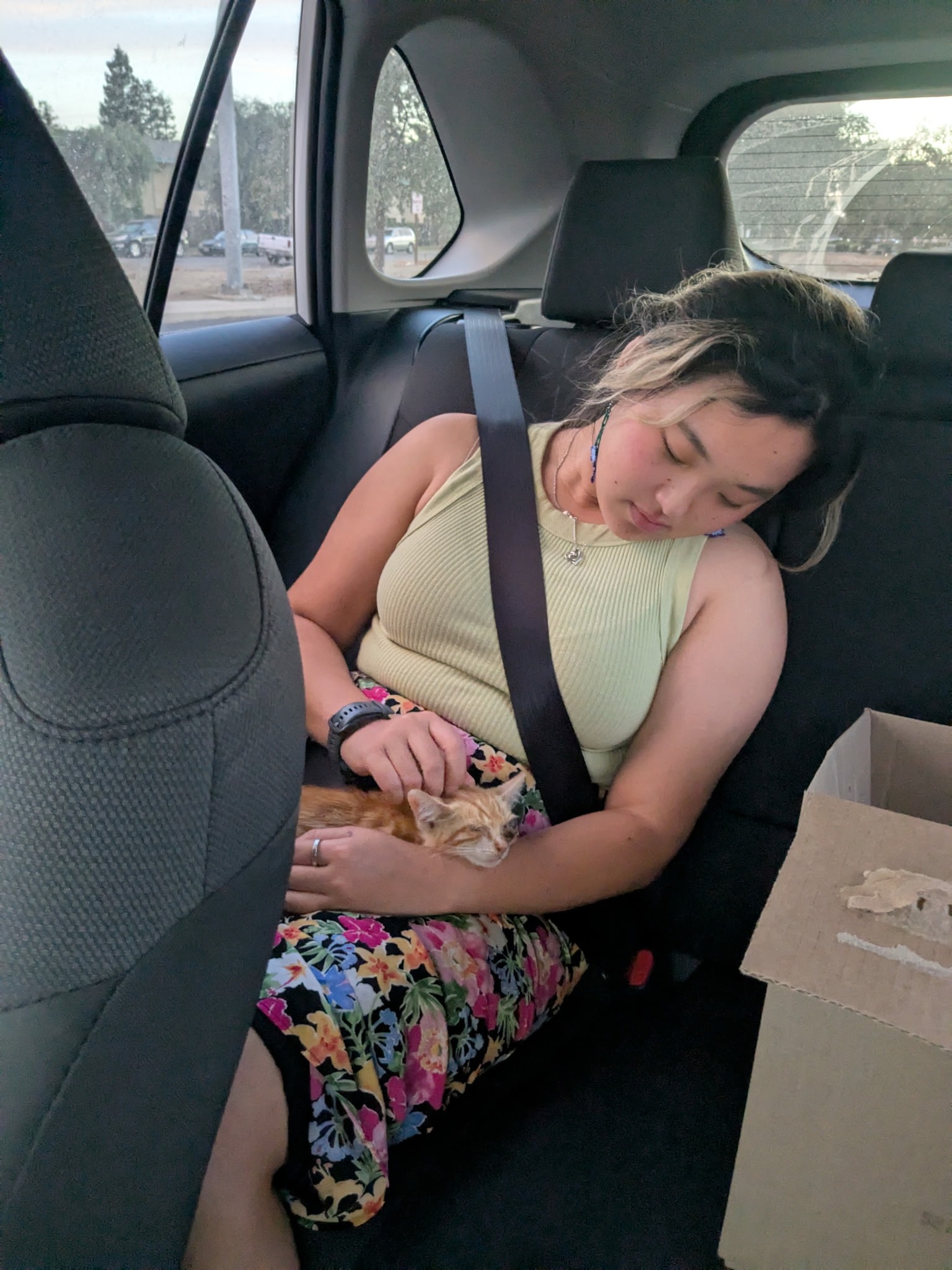 Help Ms. Vang's Kitten Get Eye Surgery campaign photo, 7 of 8