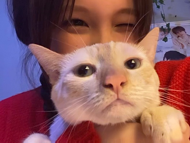 Donate to Save Kenzo's Life campaign photo, 2 of 8