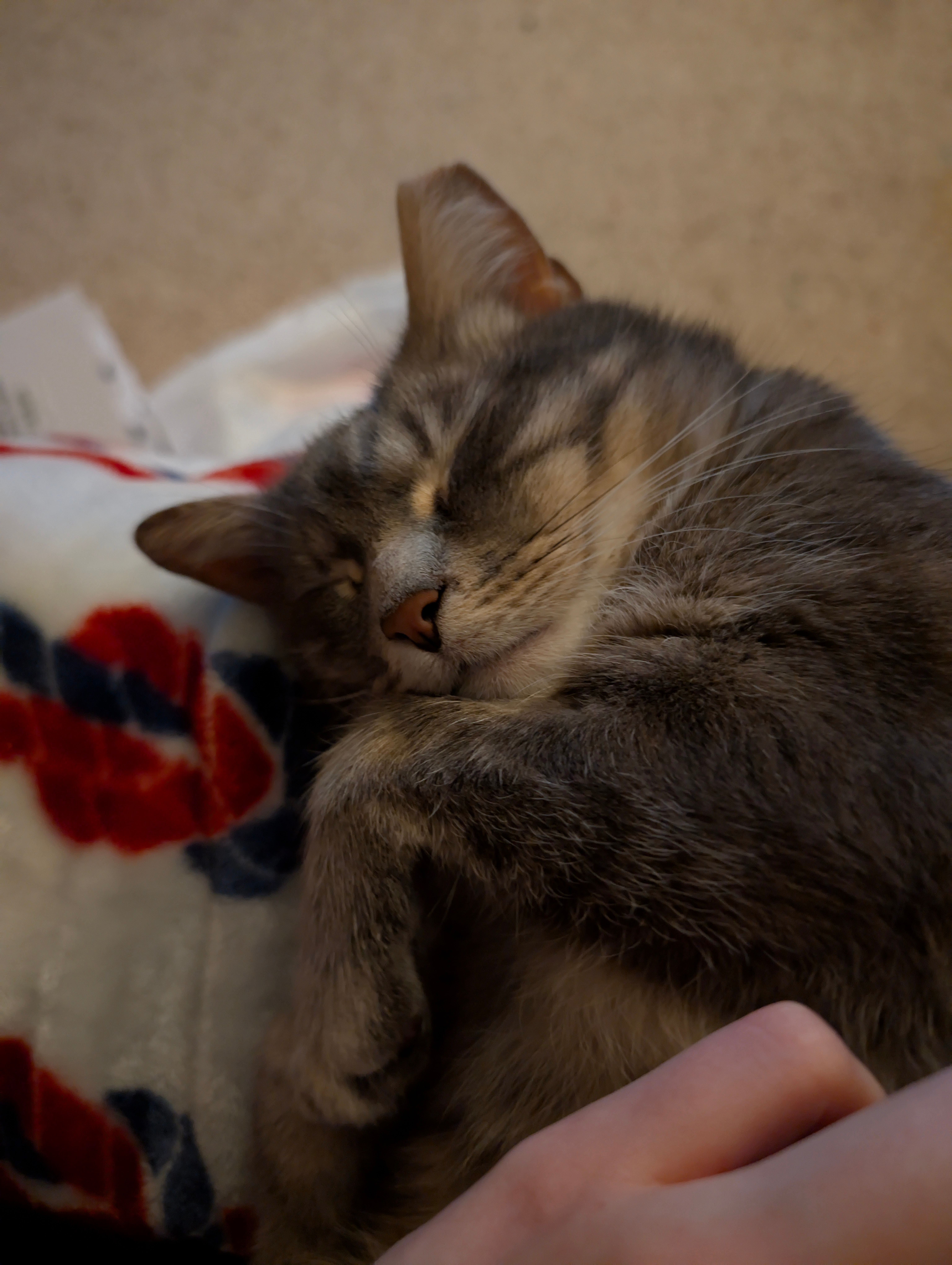 Help Fund Henry's Medical Care campaign photo, 2 of 7